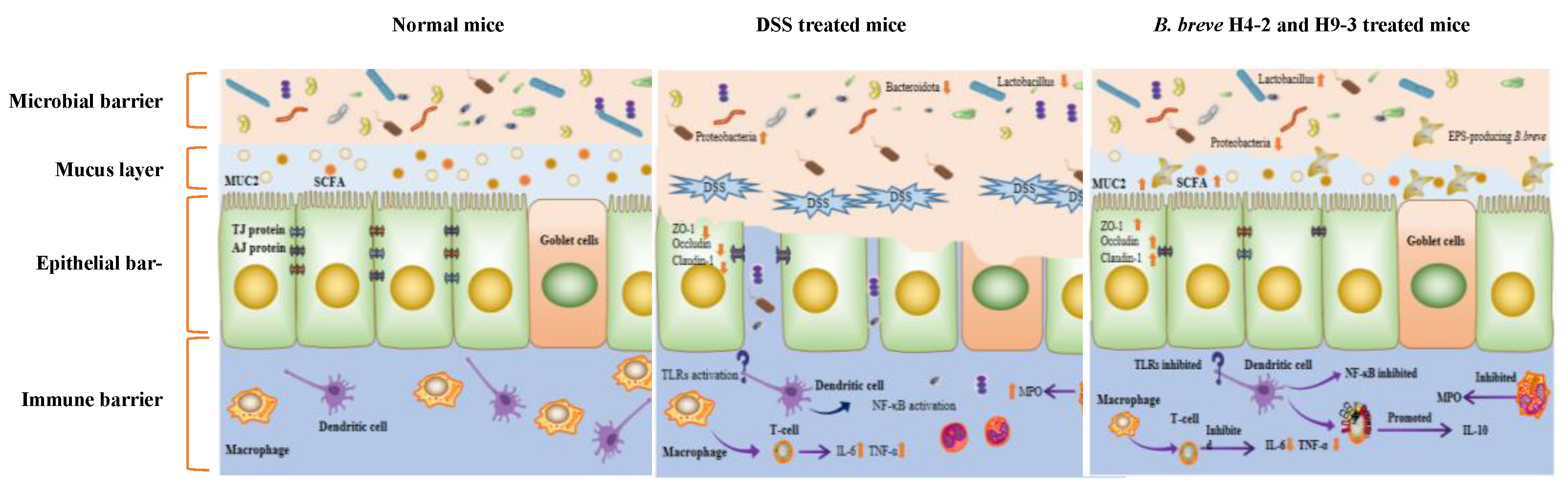 Nutrients 14 03671 g011
