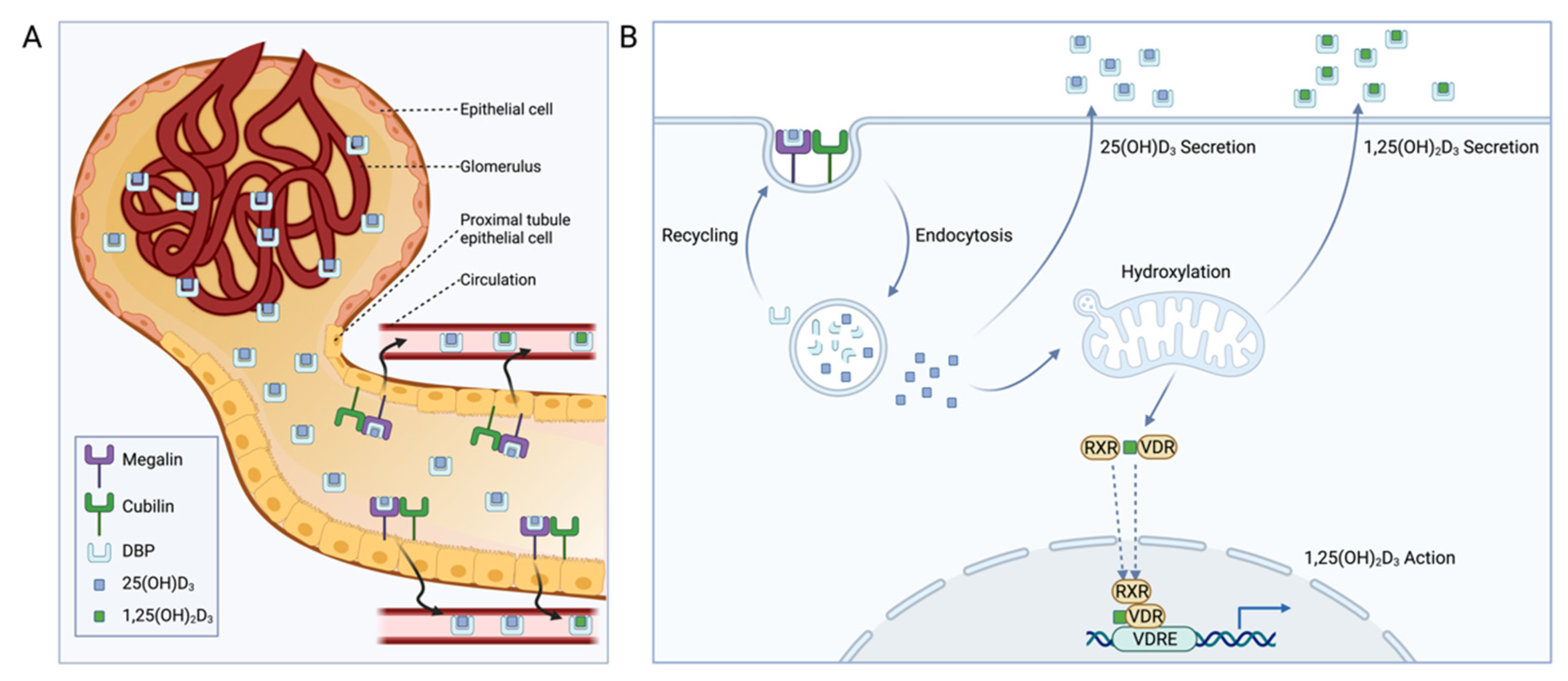 Nutrients 14 03690 g003 Nutrients 14 03690 g003
