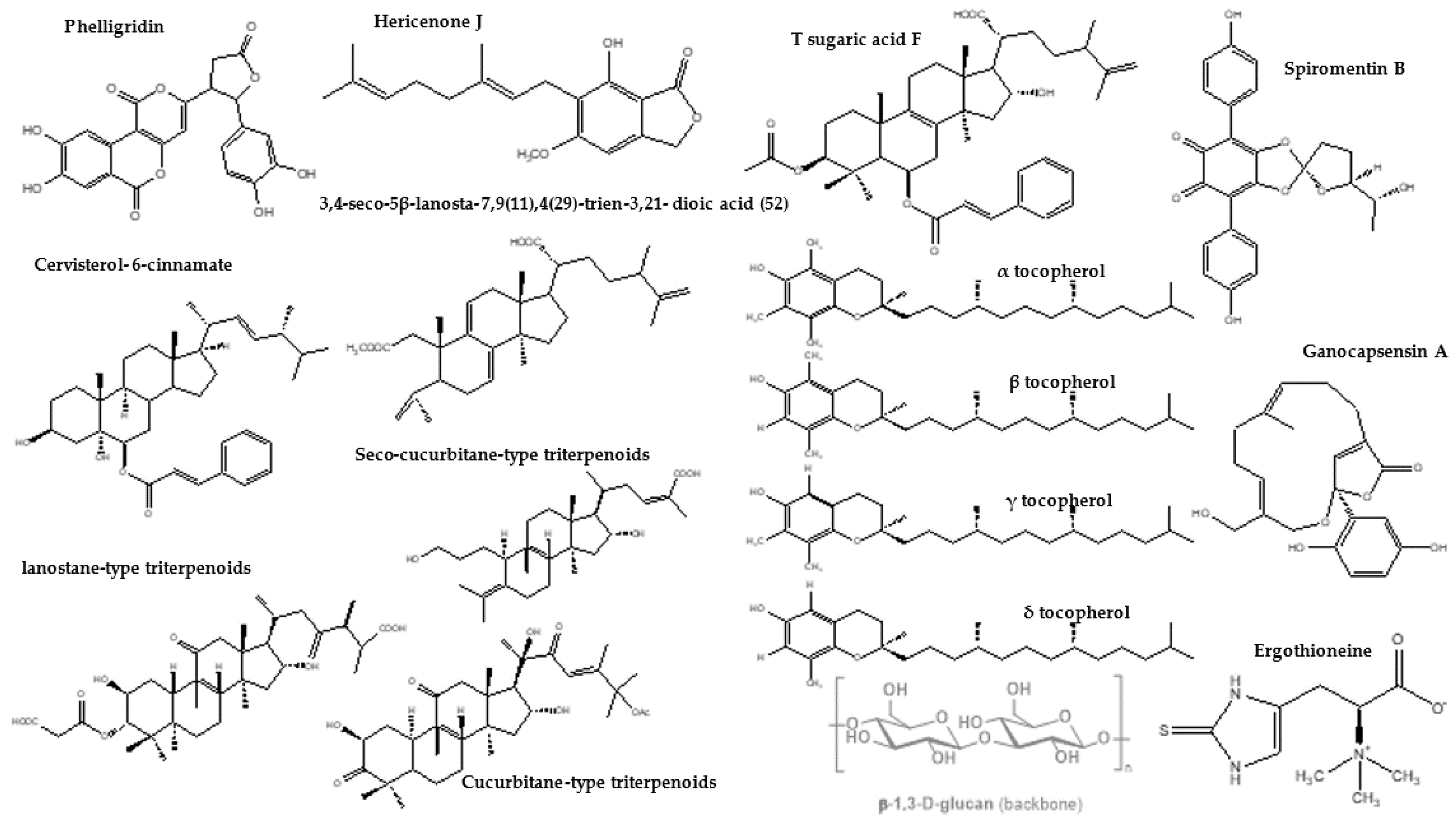 Scrutinizing the Nutritional Aspects of Asian Mushrooms, Its
