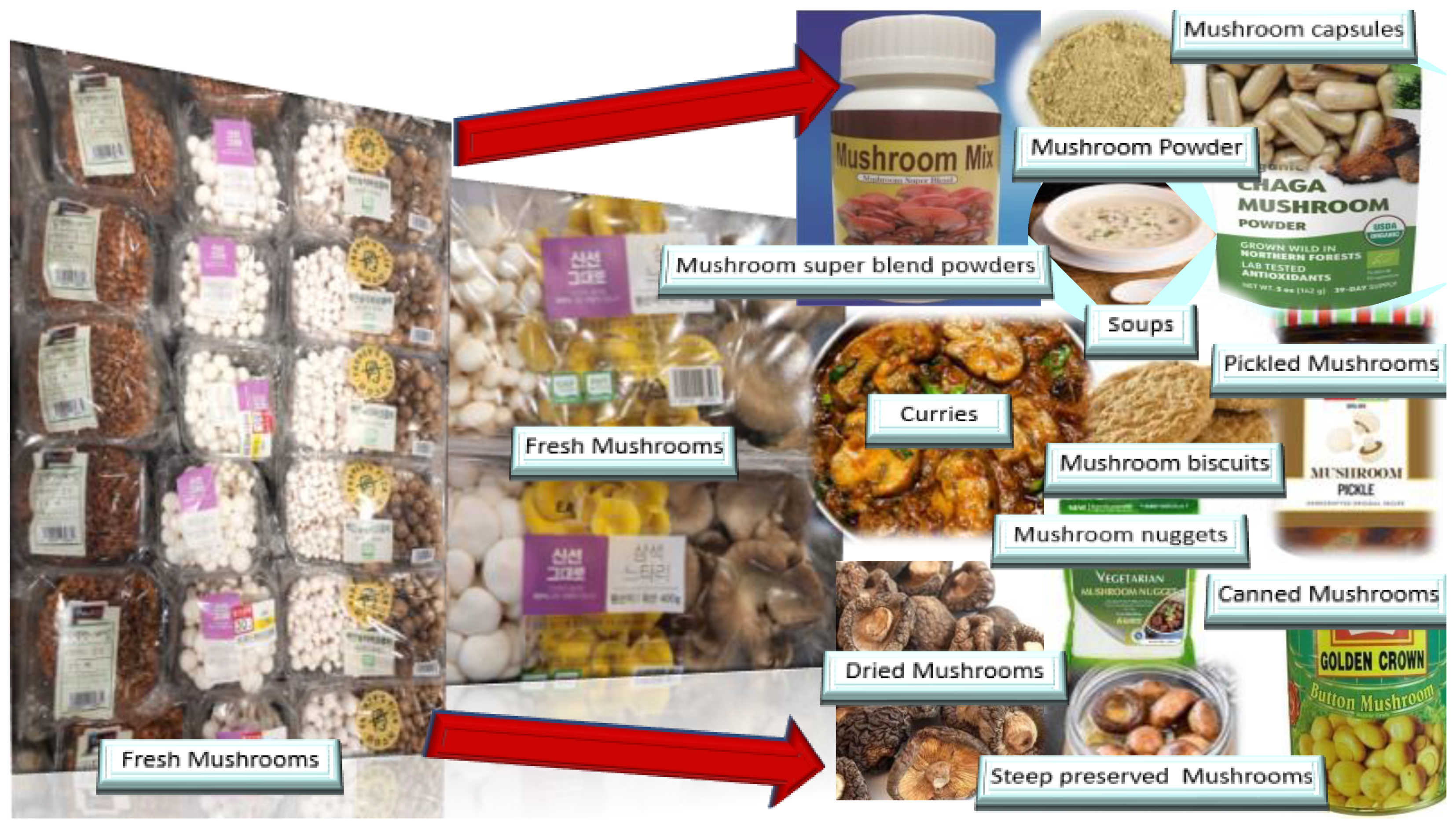 Saki.  Scrutinizing the Nutritional Aspects of Asian Mushrooms, Its
