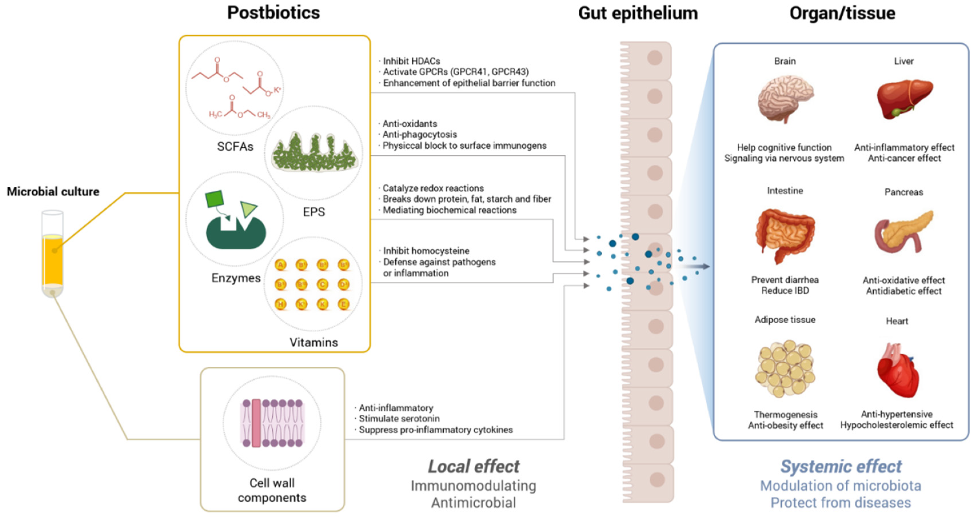 Nutrients 14 03701 g001