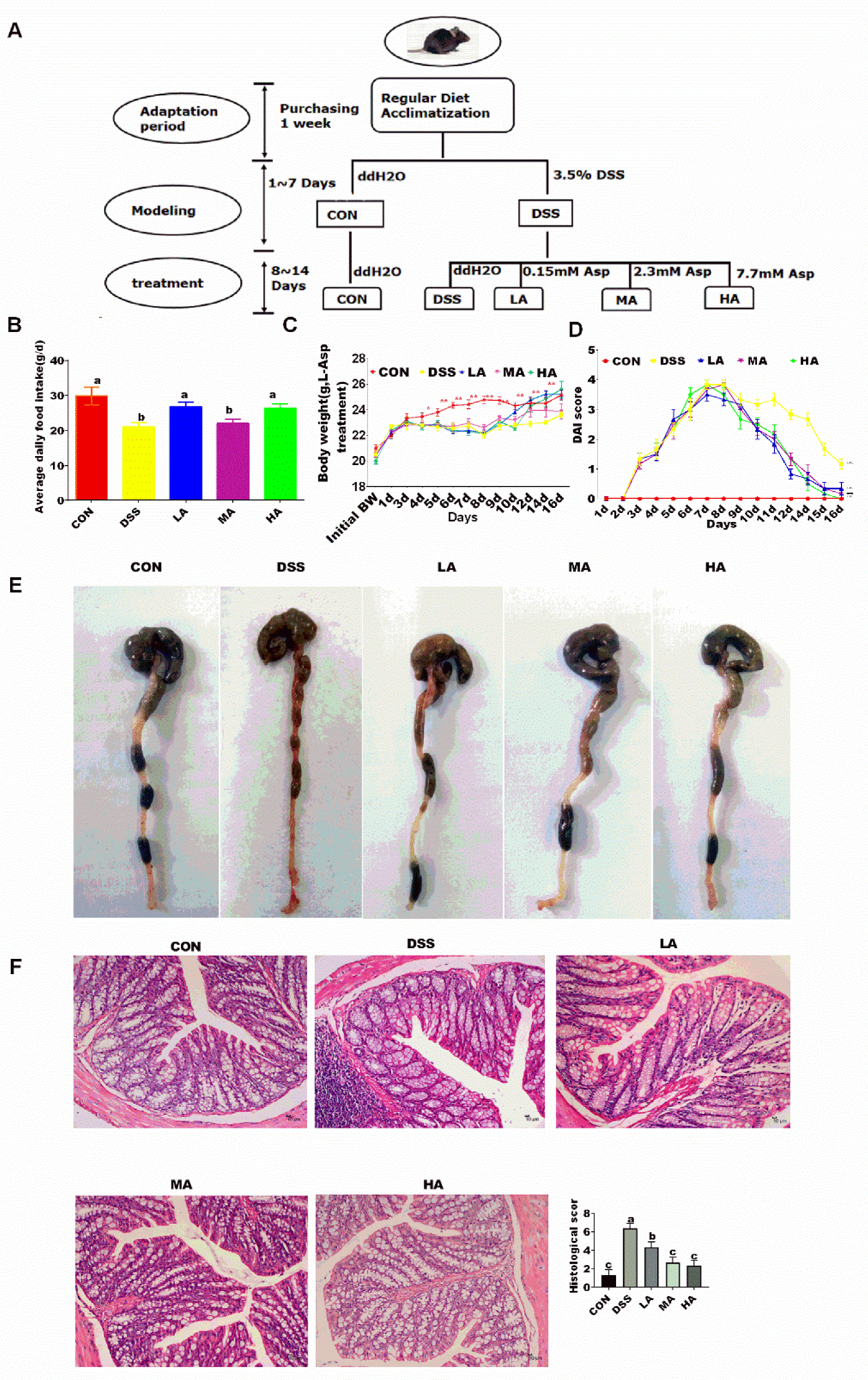 Nutrients 14 03707 g001