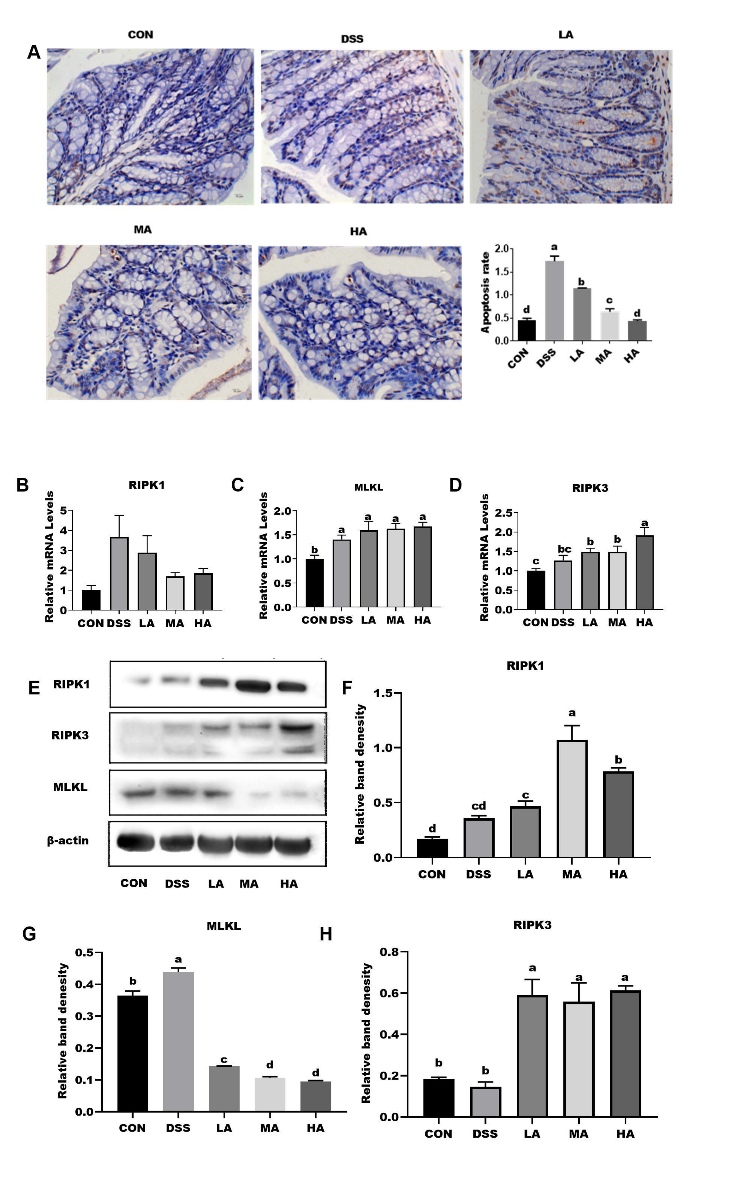 Nutrients 14 03707 g004