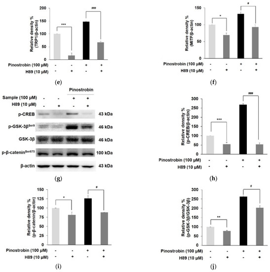 Discovery of Pinostrobin as a Melanogenic Agent in cAMP/PKA