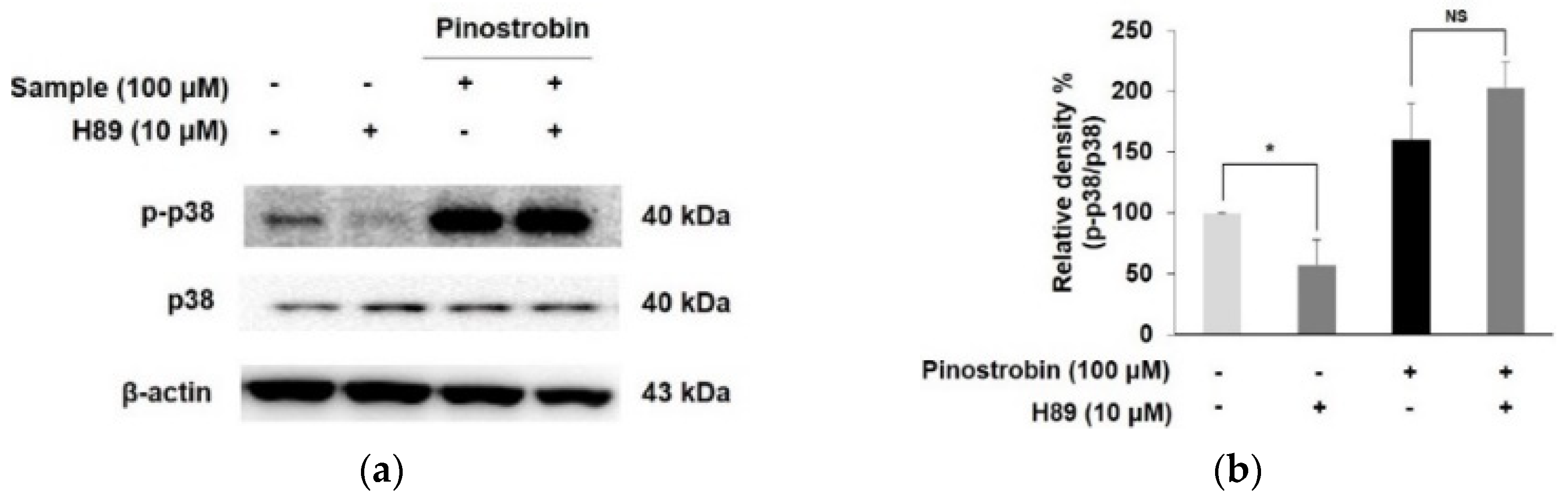 Nutrients 14 03713 g007