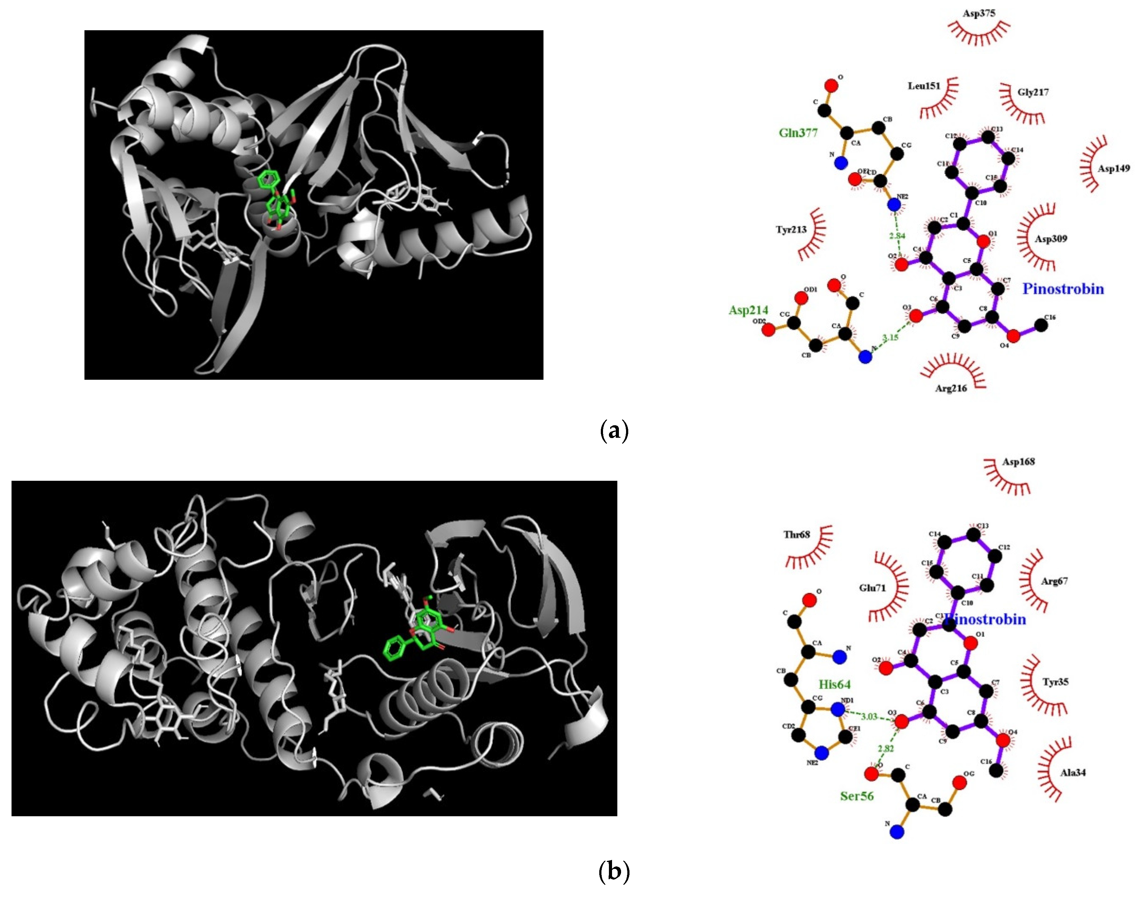 Nutrients 14 03713 g008