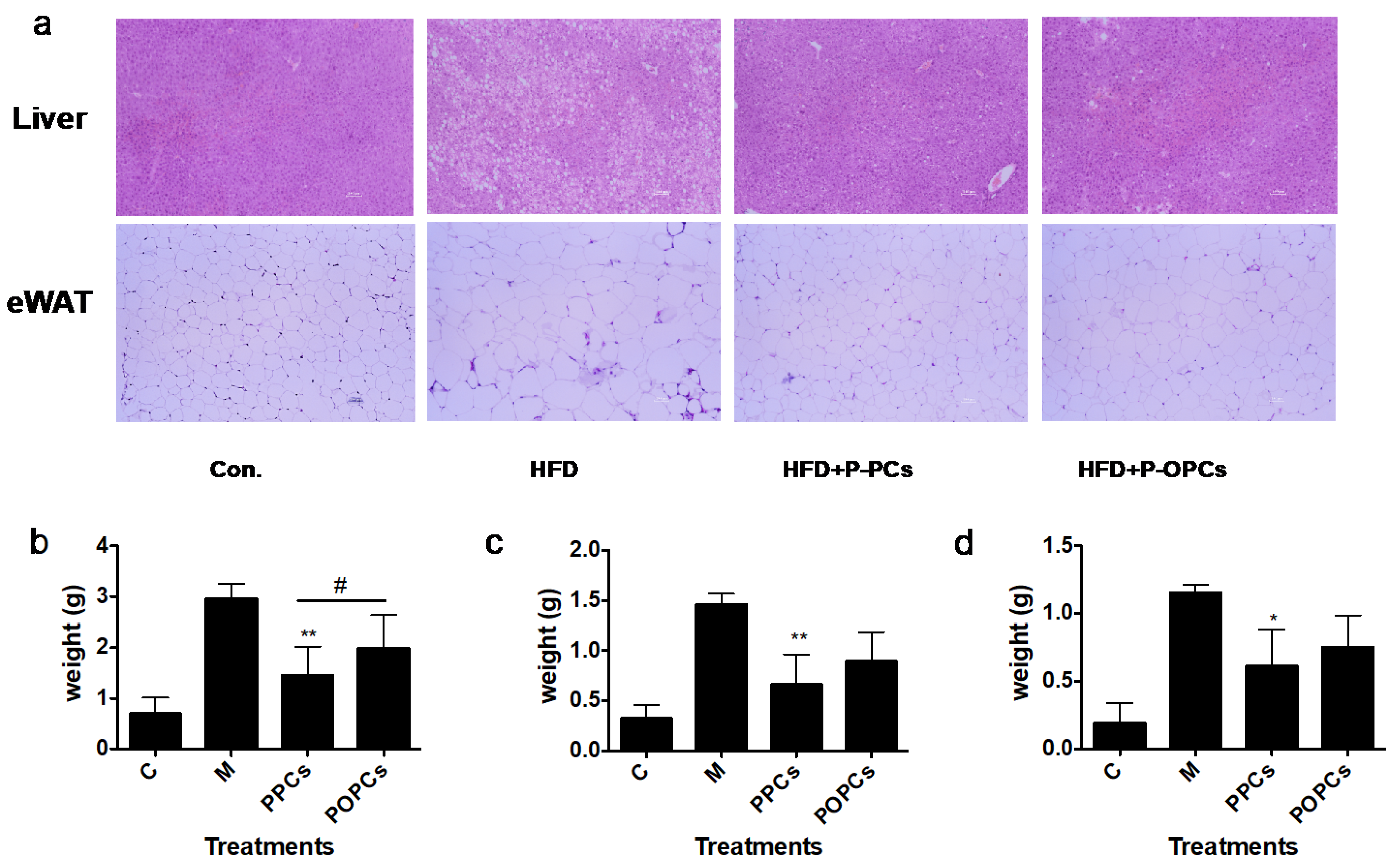 Nutrients 14 03718 g003a 550