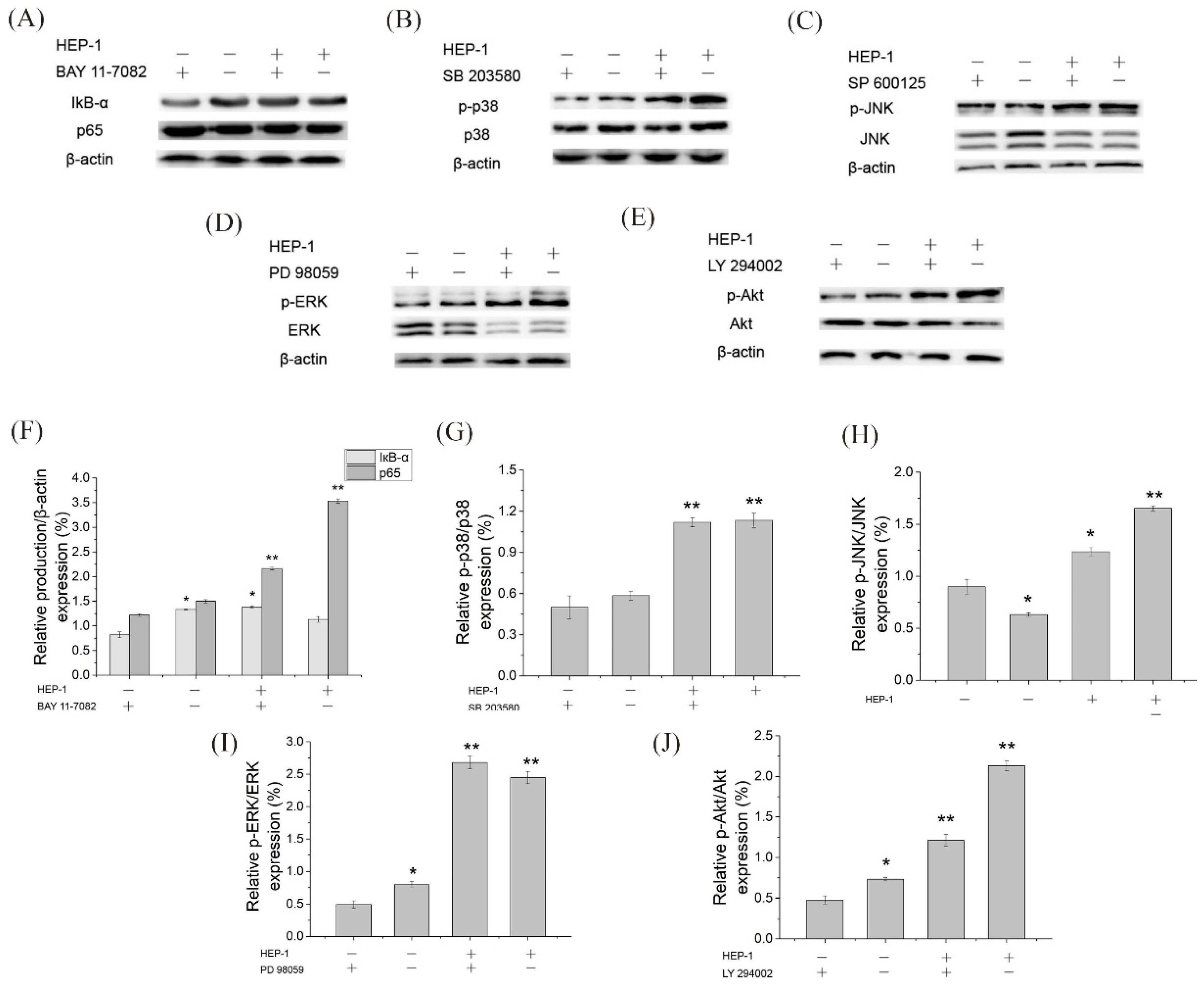 Nutrients 14 03721 g005 Nutrients 14 03721 g005