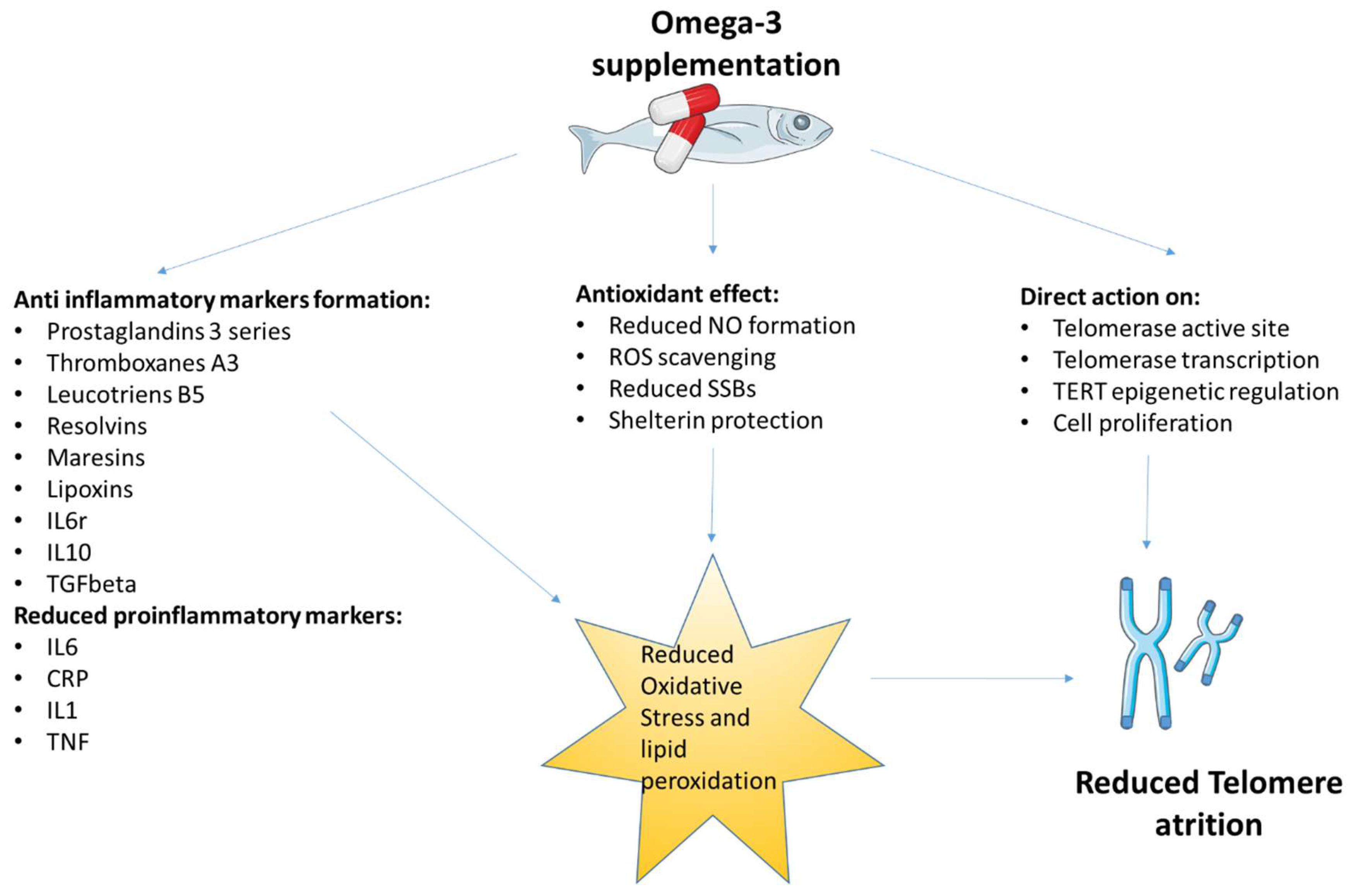 Fish and Omega-3 Fatty Acids