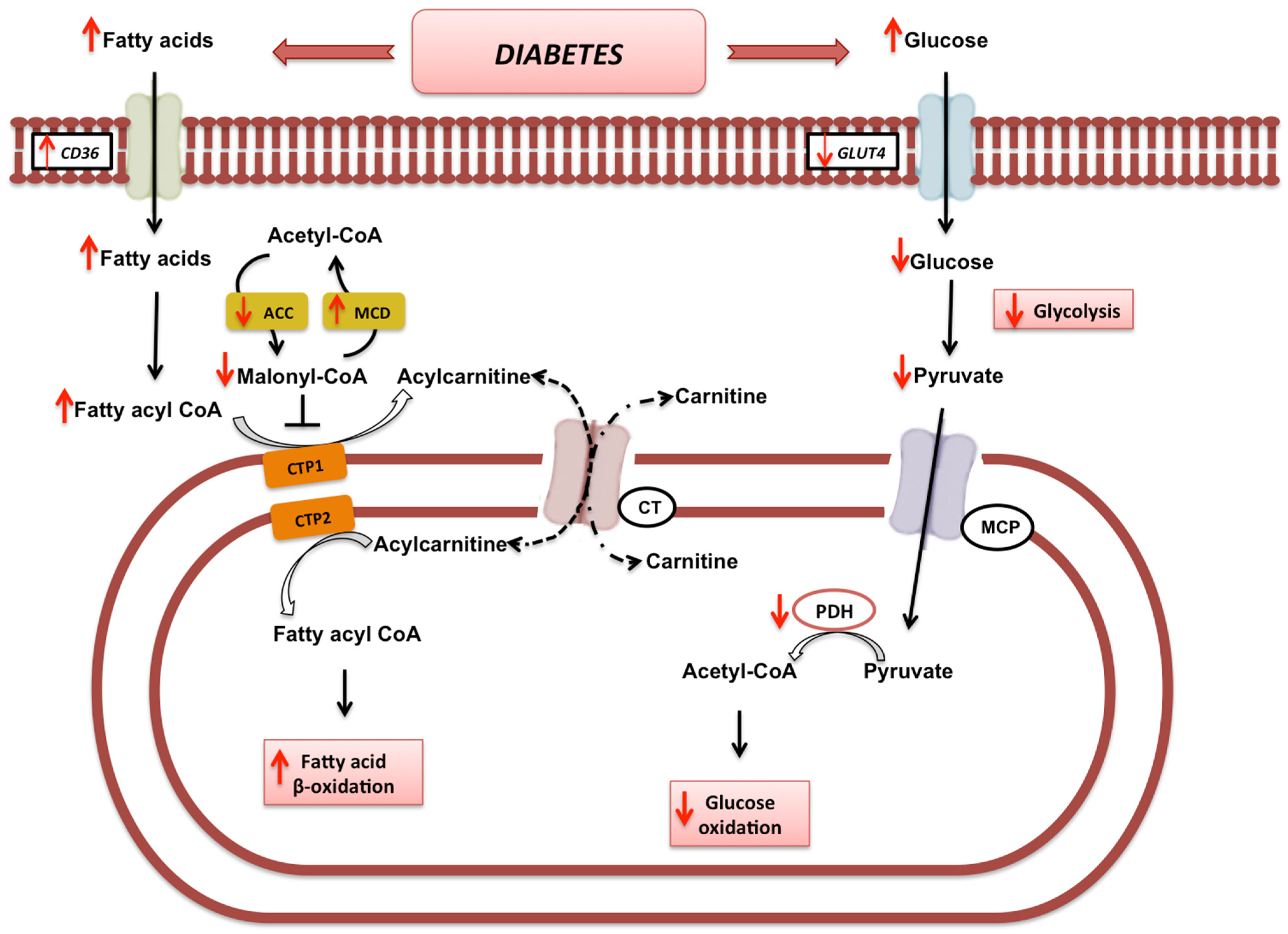 Nutrients 14 03737 g001 550