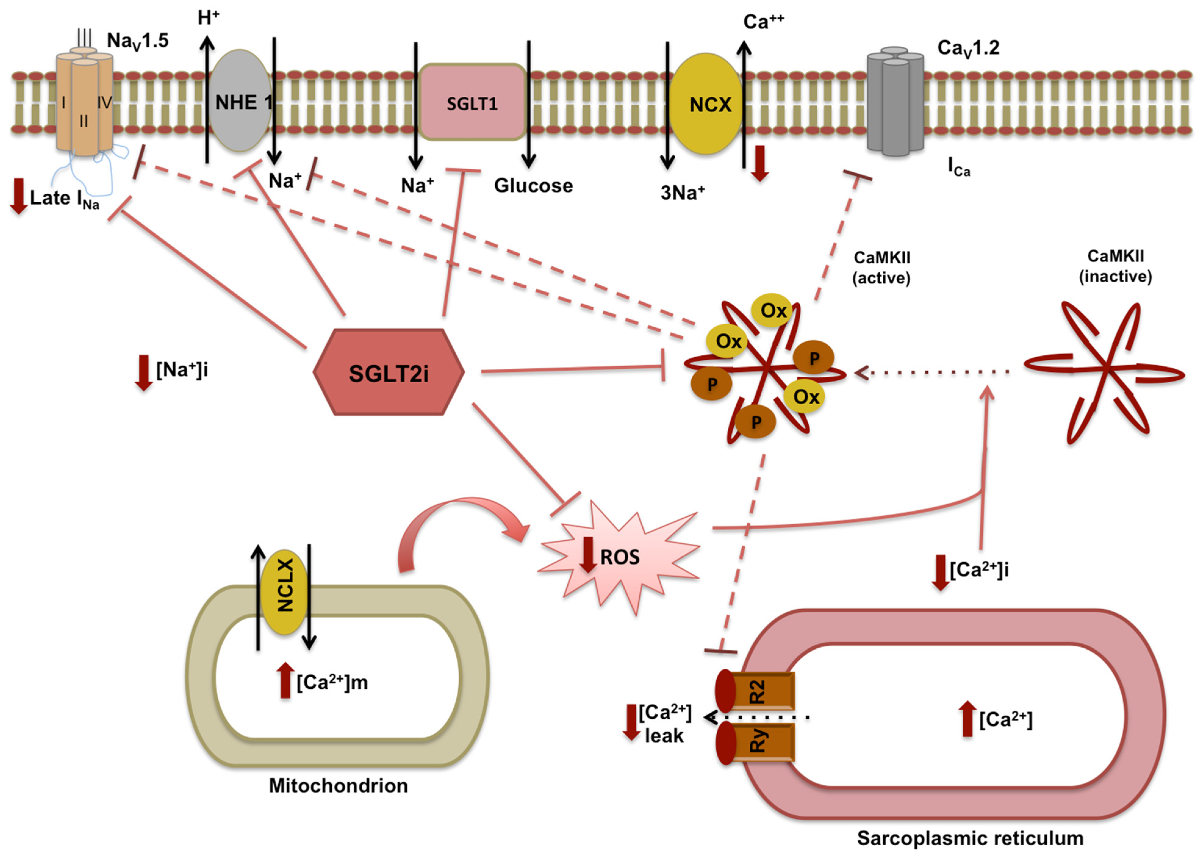 Nutrients 14 03737 g002 550
