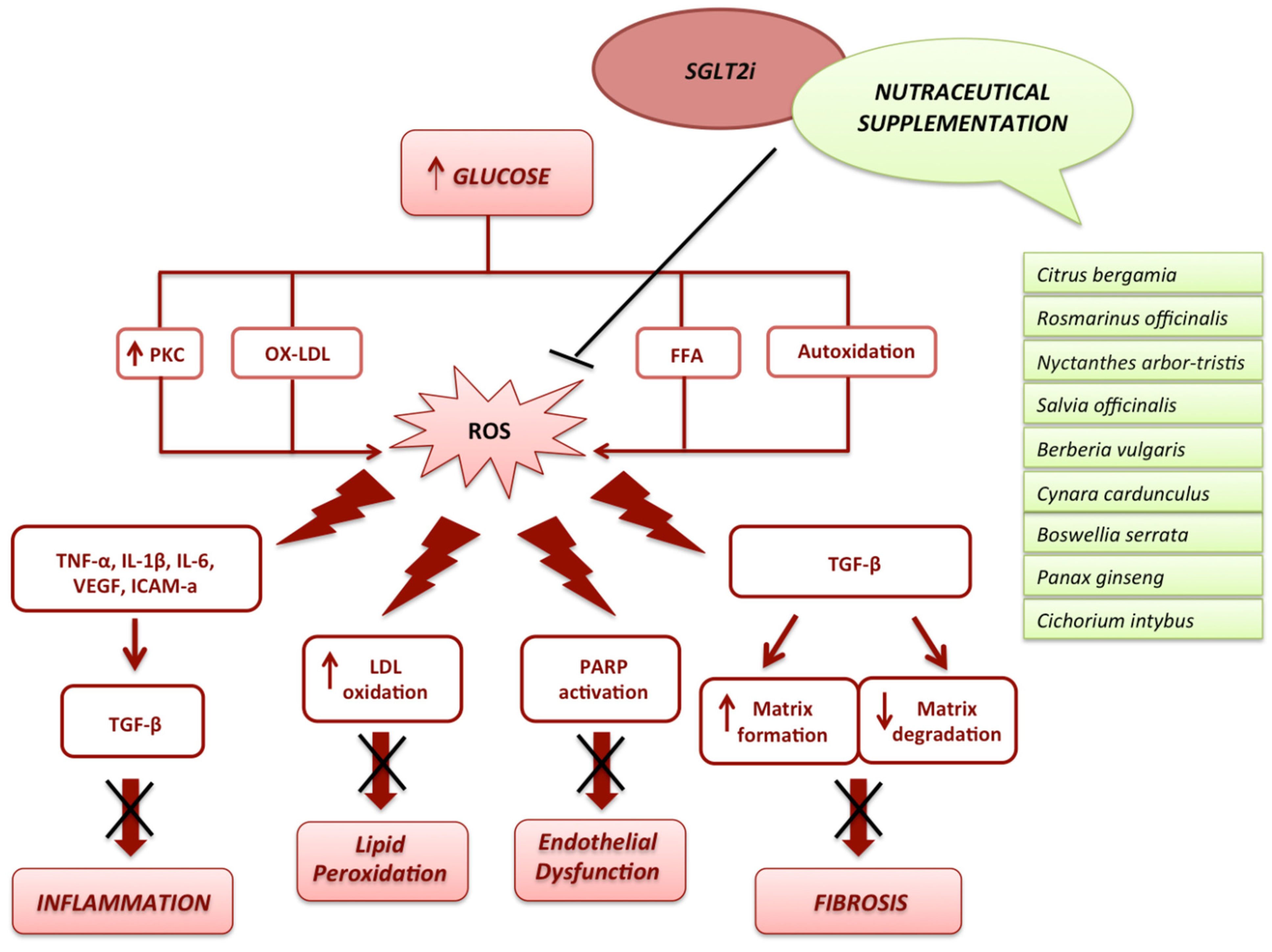 Nutrients 14 03737 g003 550
