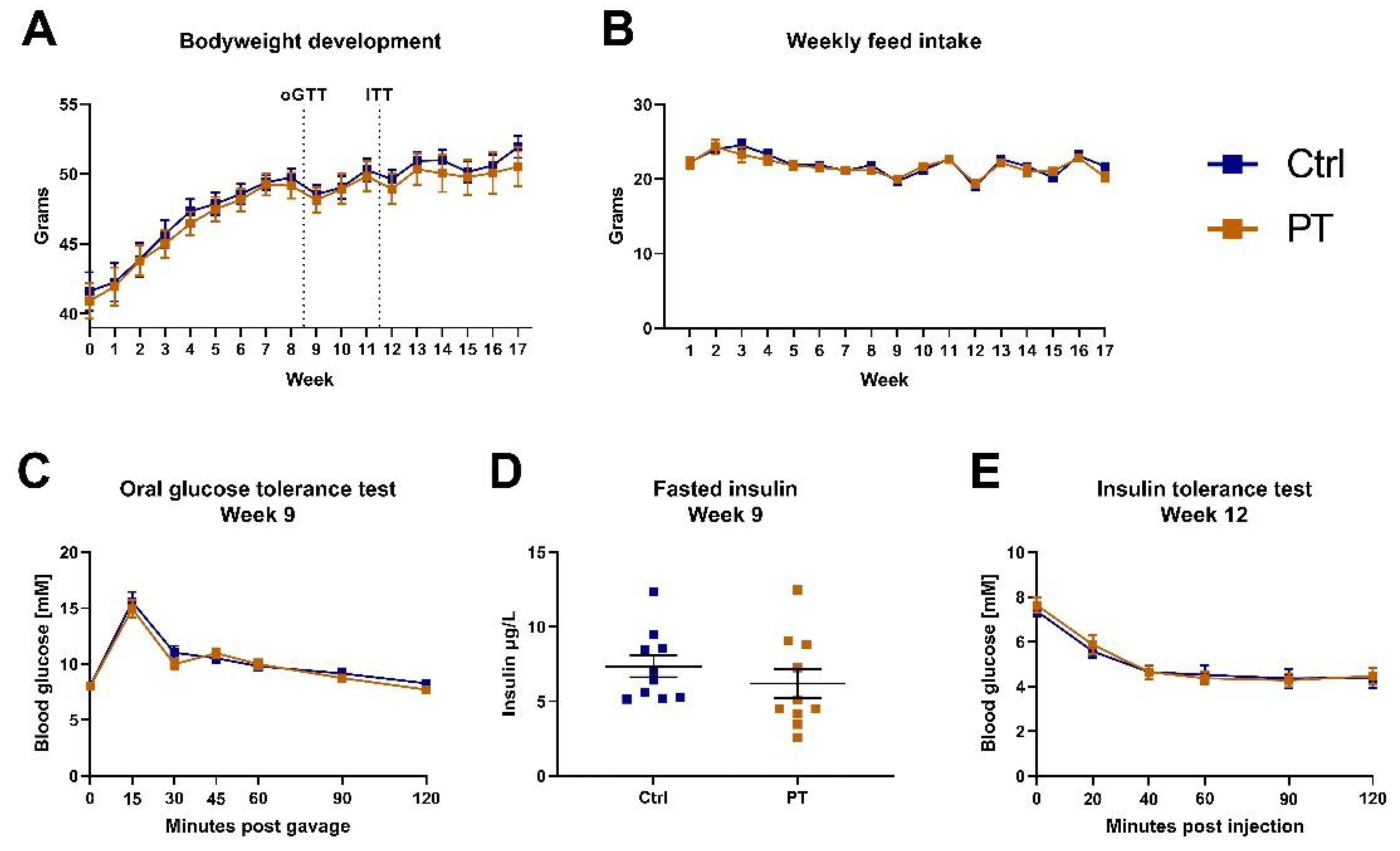 Nutrients 14 03741 g001