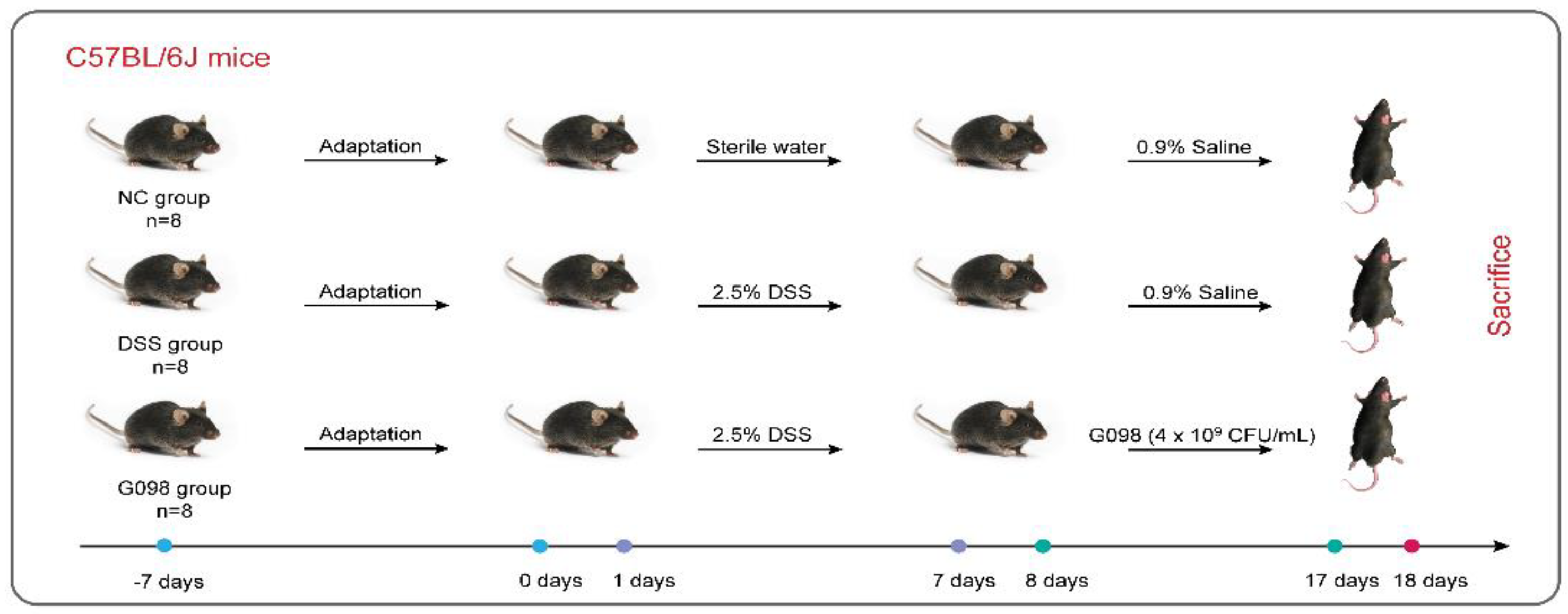 Nutrients 14 03745 g001