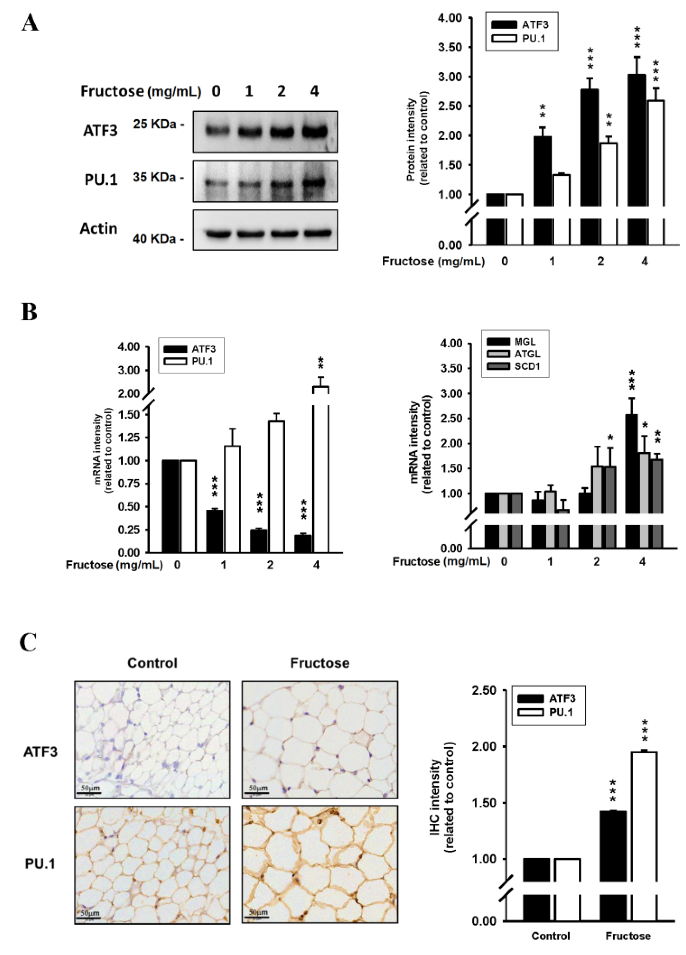 Nutrients 14 03759 g002 Nutrients 14 03759 g002