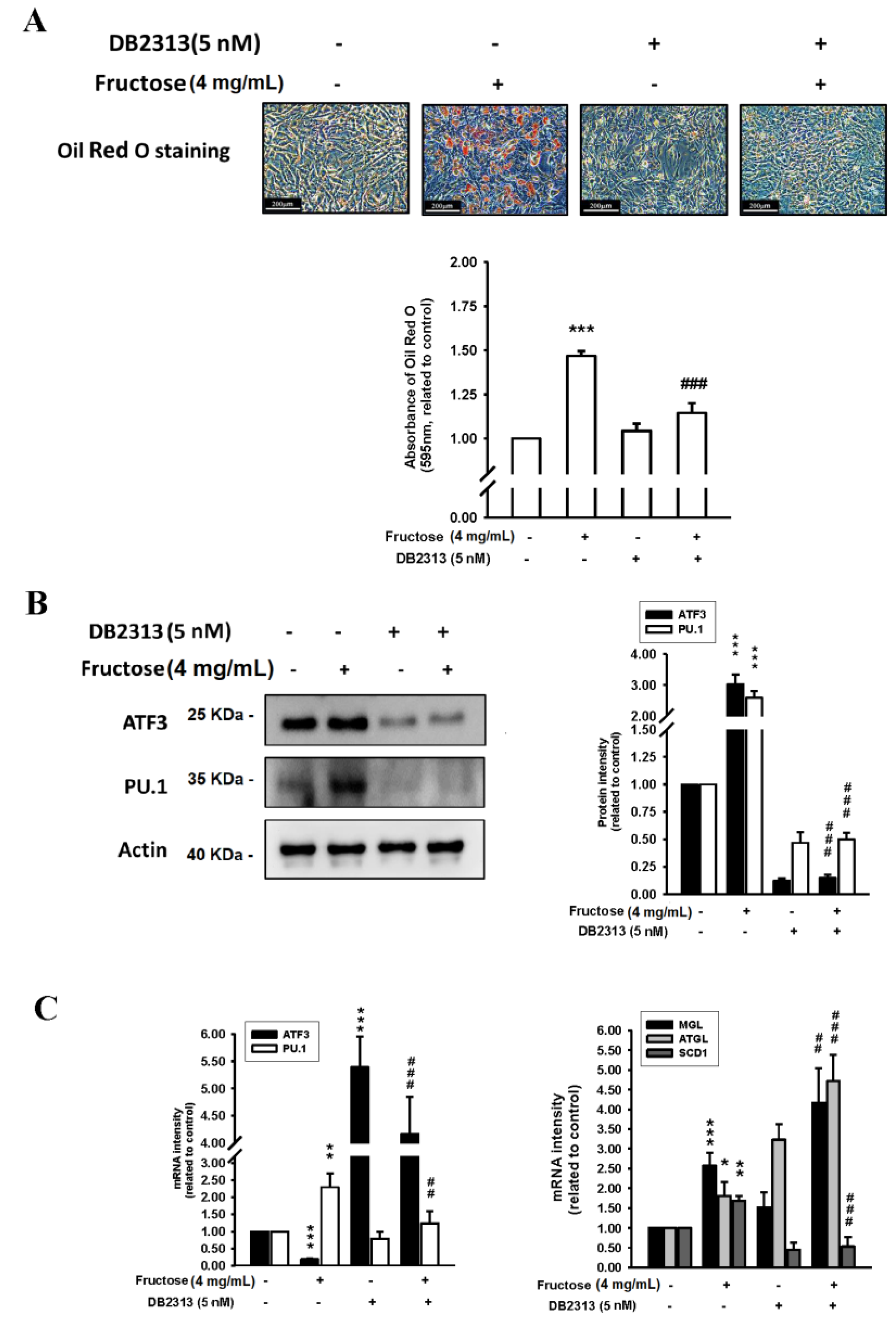 Nutrients 14 03759 g003 Nutrients 14 03759 g003