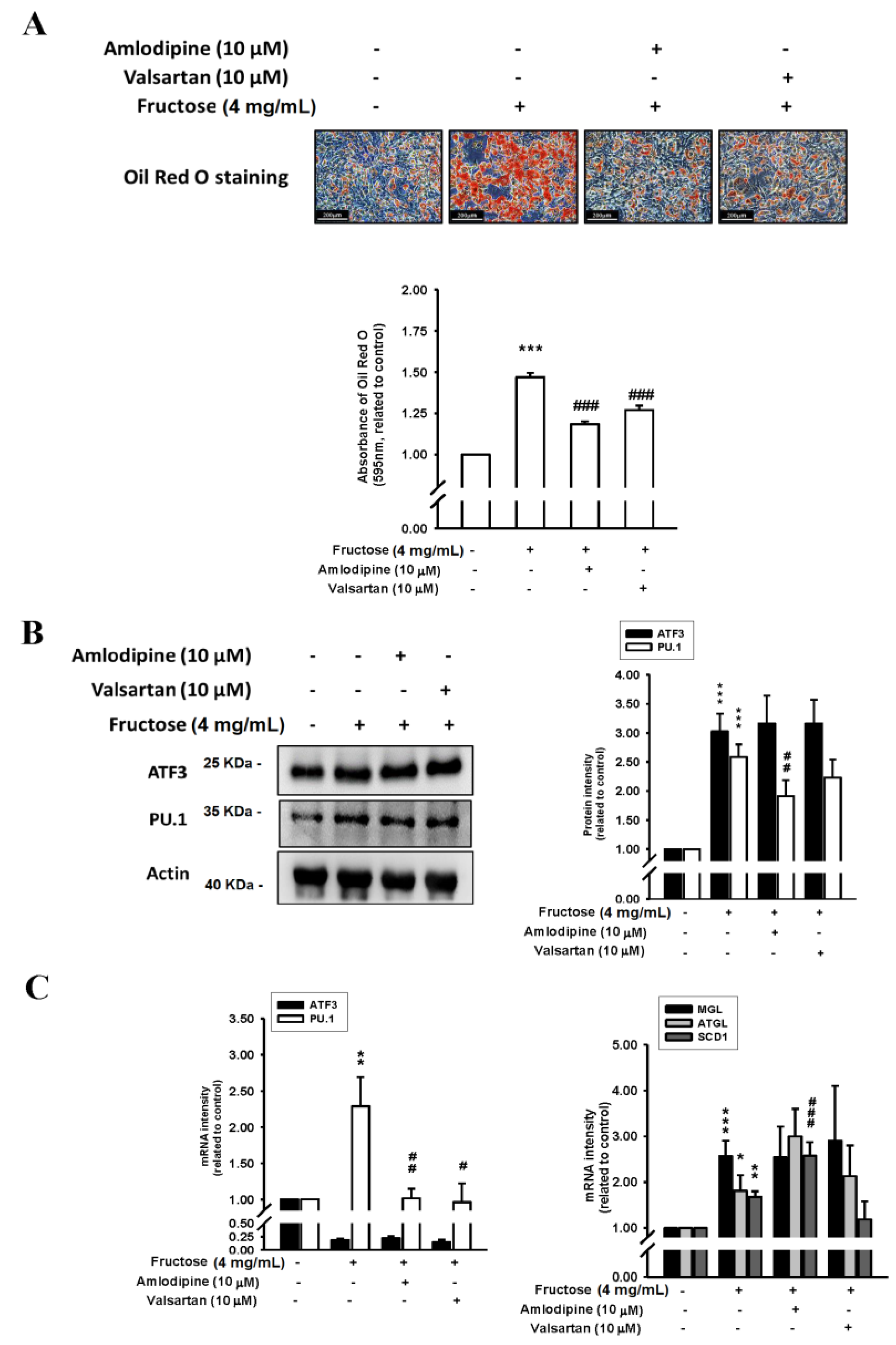 Nutrients 14 03759 g004 Nutrients 14 03759 g004