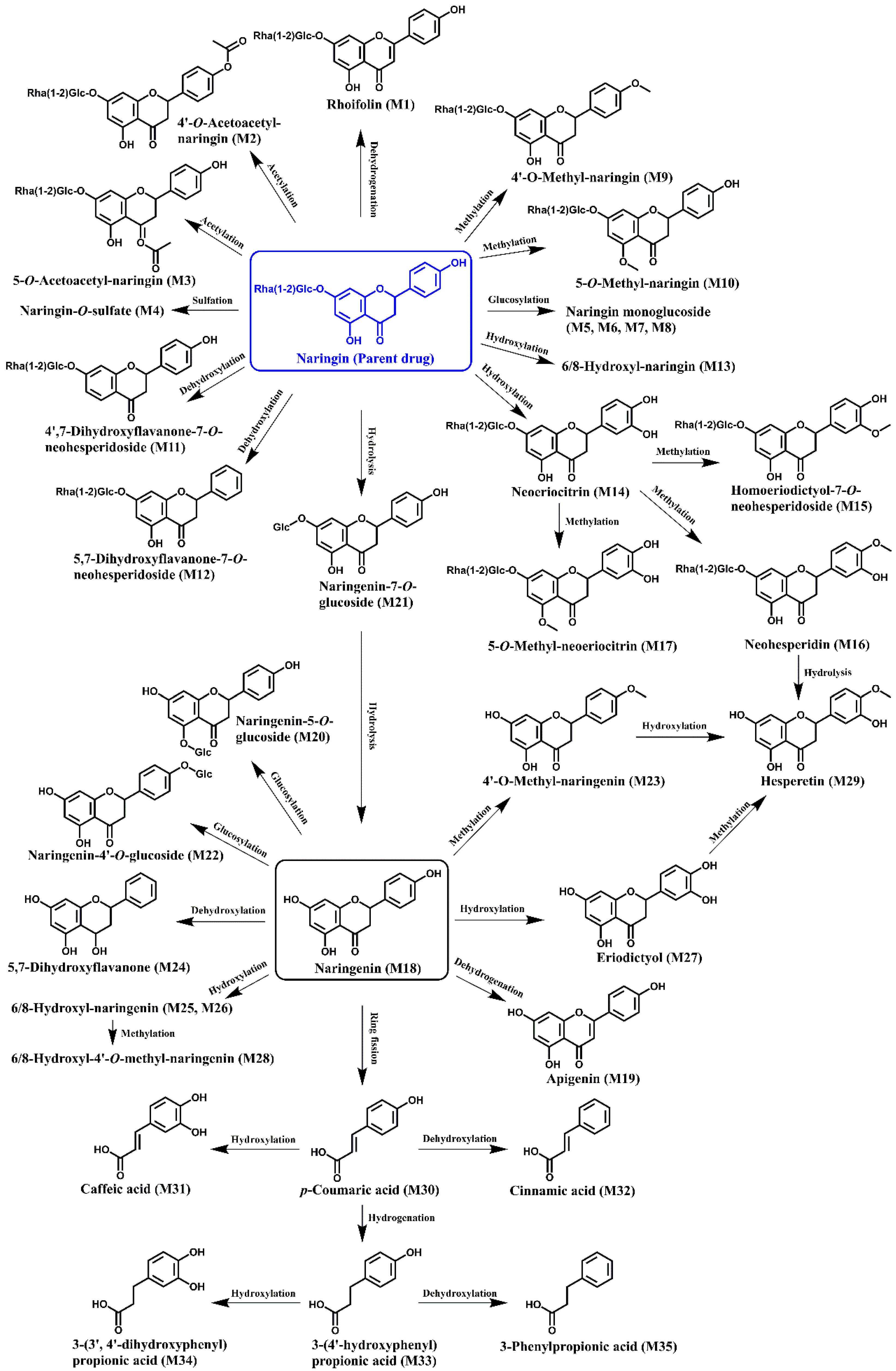 Nutrients 14 03765 g001