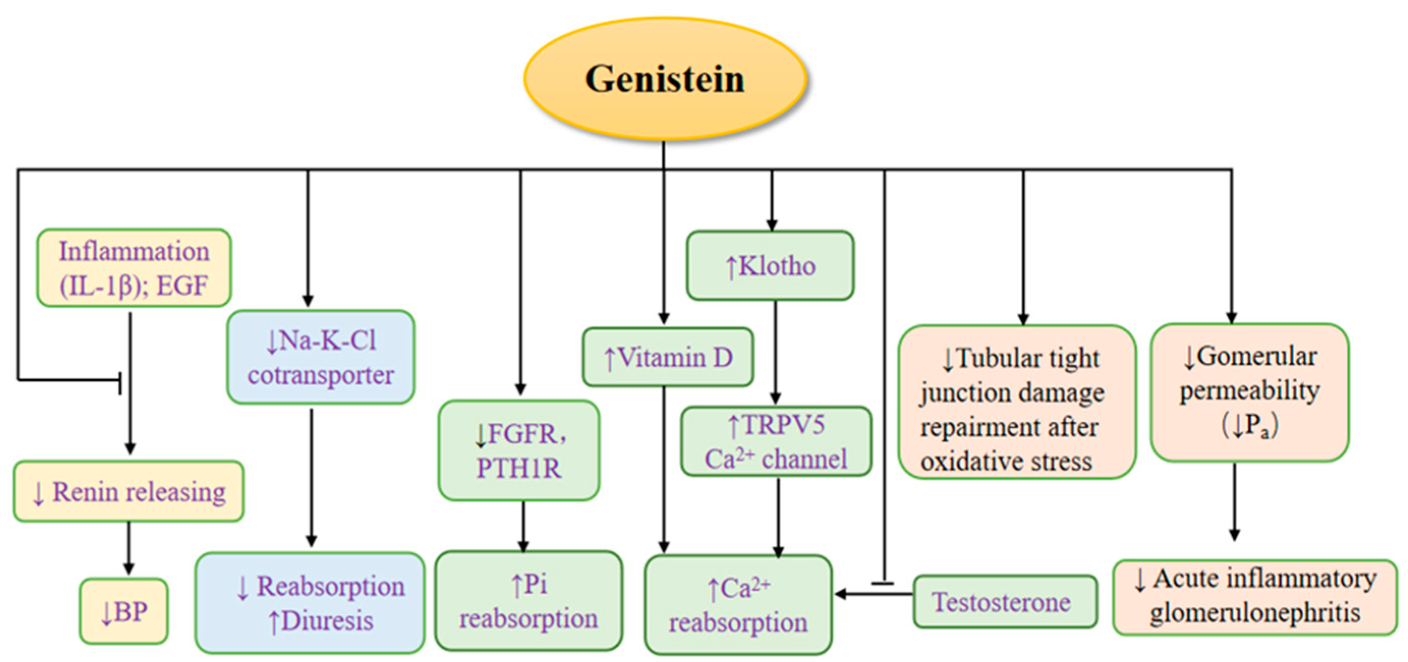 Nutrients 14 03768 g003 Nutrients 14 03768 g003