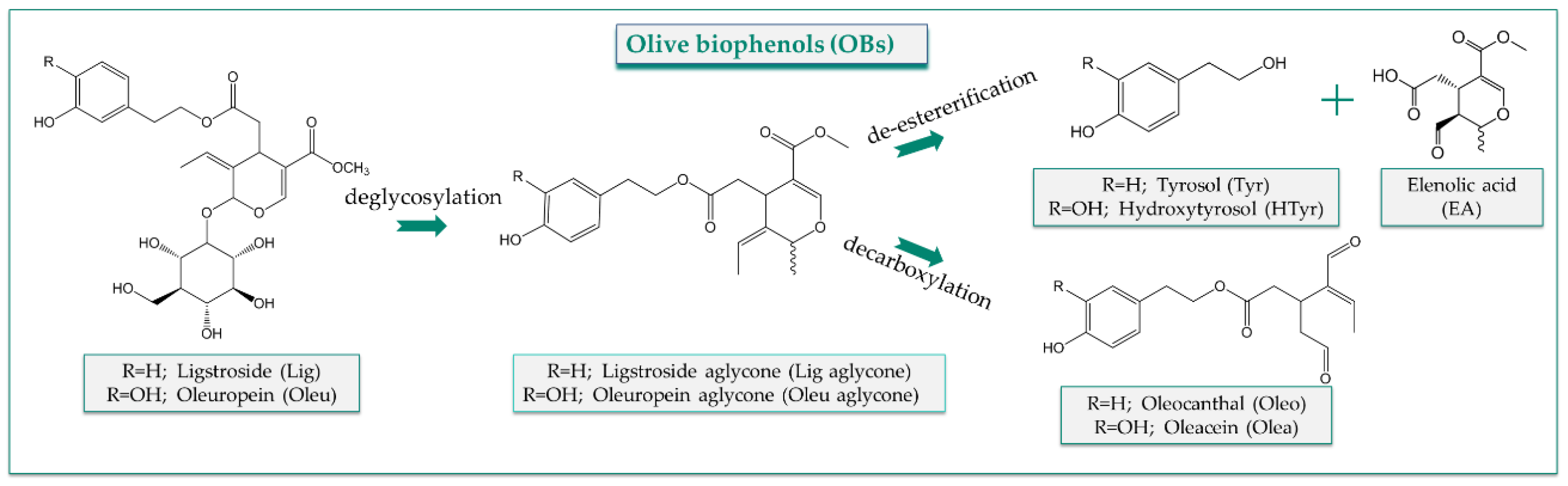Nutrients 14 03773 g001 Nutrients 14 03773 g001