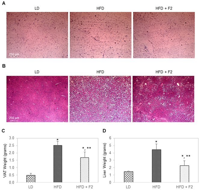 Nutrients 14 03784 g008 Nutrients 14 03784 g008