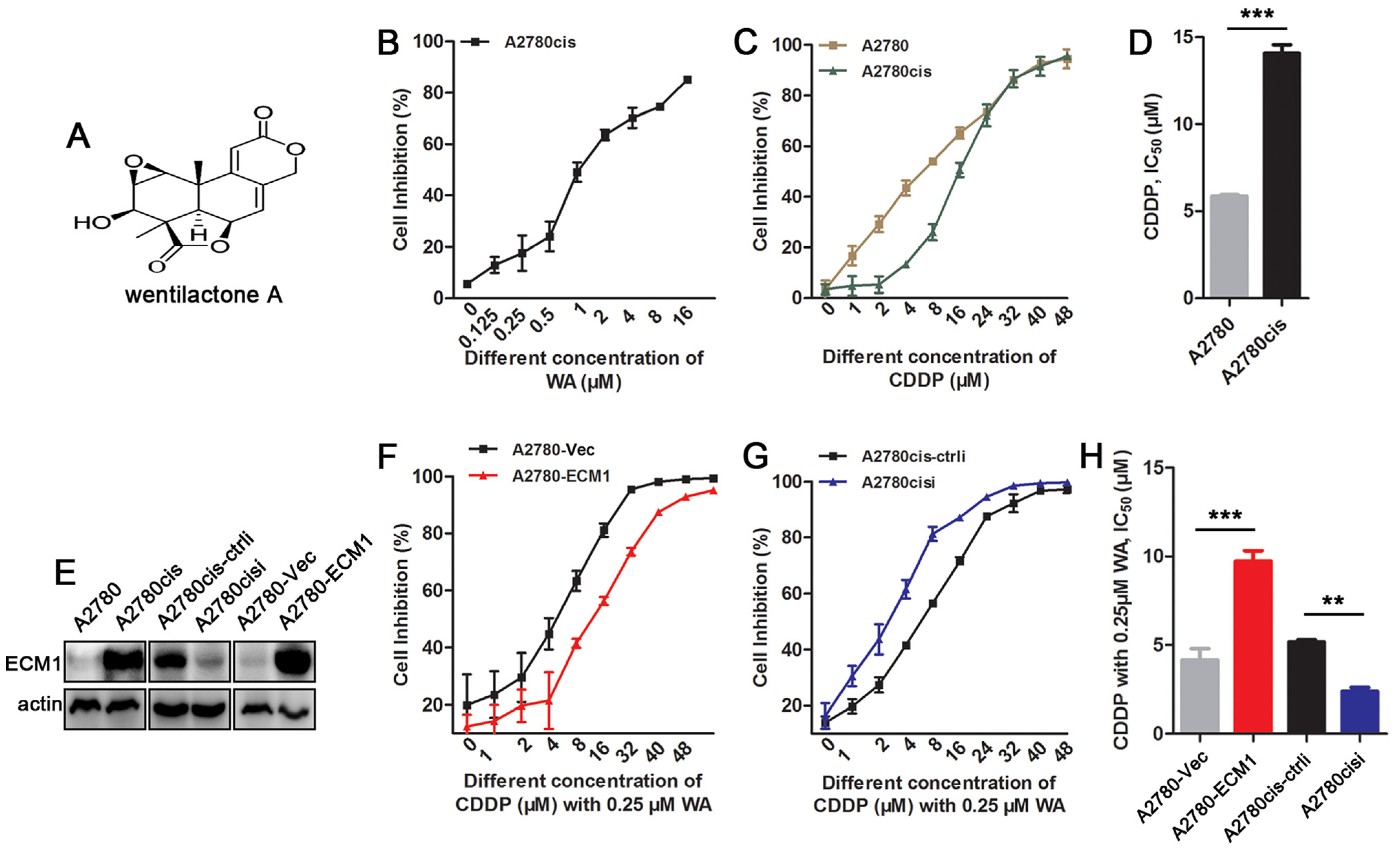 Nutrients 14 03790 g001 Nutrients 14 03790 g001