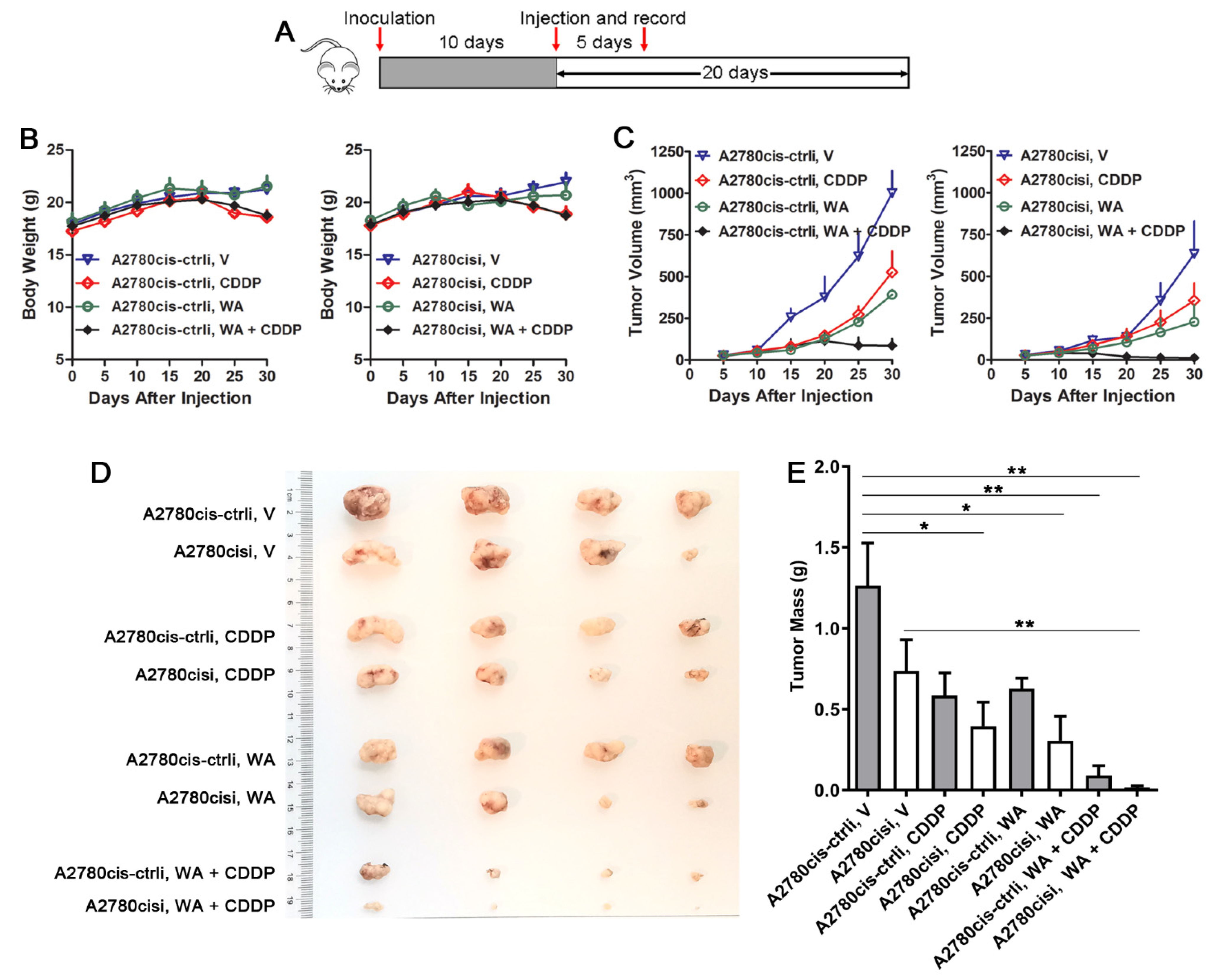 Nutrients 14 03790 g002 Nutrients 14 03790 g002