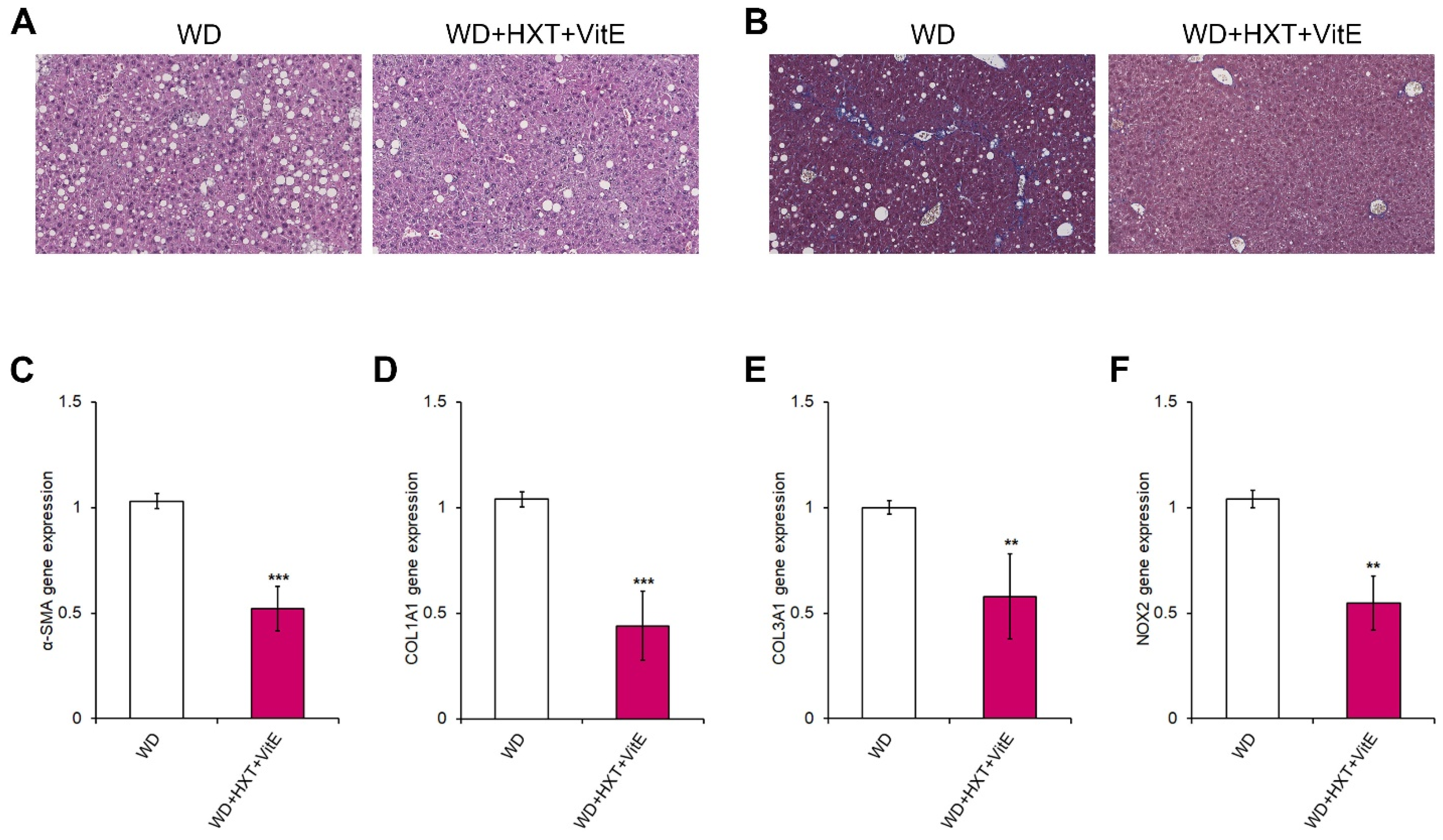 Nutrients 14 03791 g004