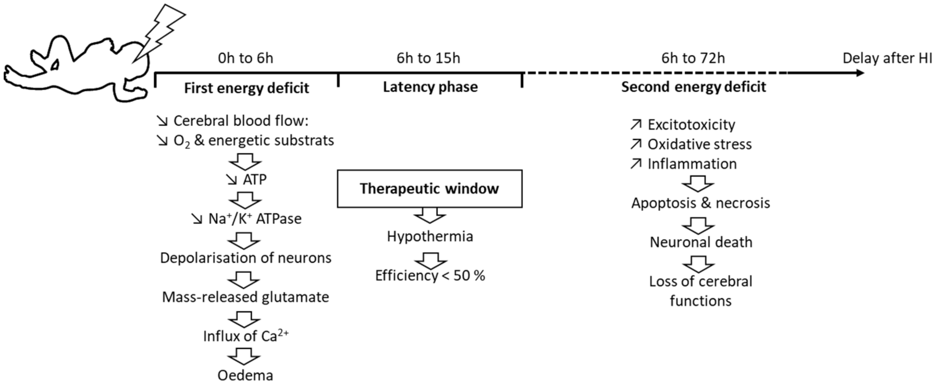 Nutrients 14 03793 g001 Nutrients 14 03793 g001