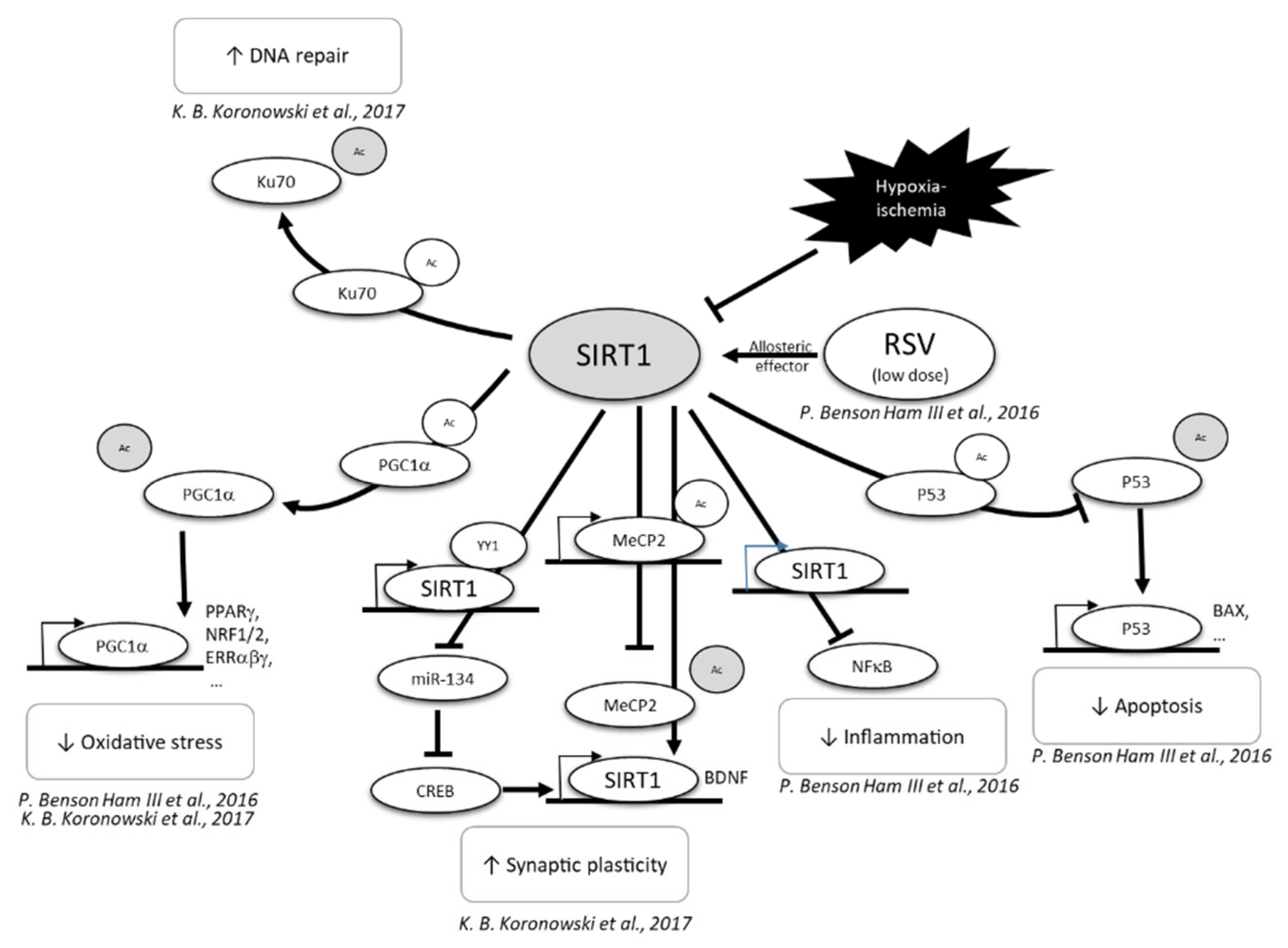 Nutrients 14 03793 g005 Nutrients 14 03793 g005