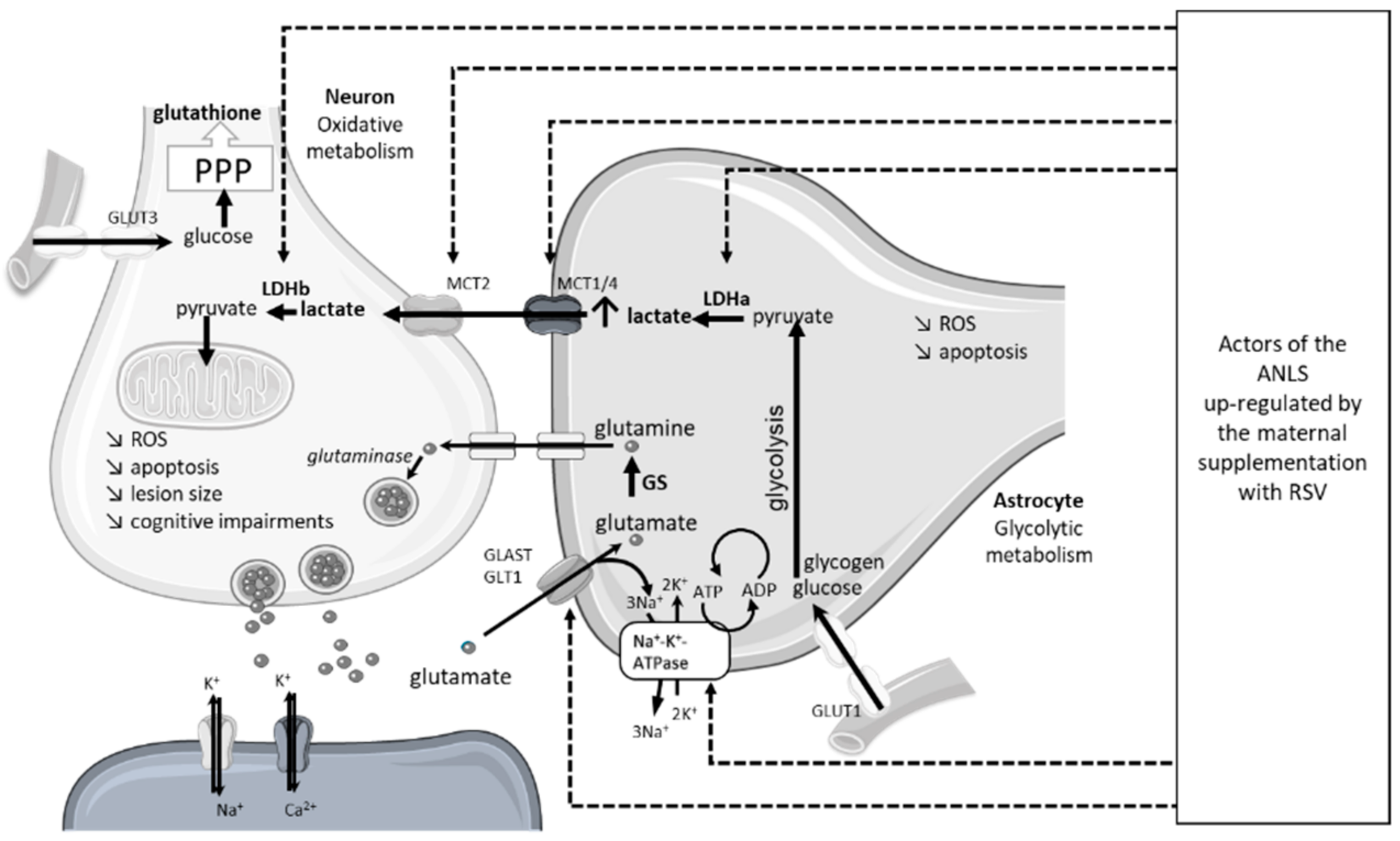 Nutrients 14 03793 g006 Nutrients 14 03793 g006