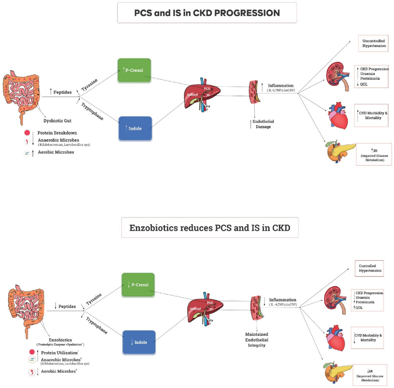 Nutrients 14 03804 g001 Nutrients 14 03804 g001