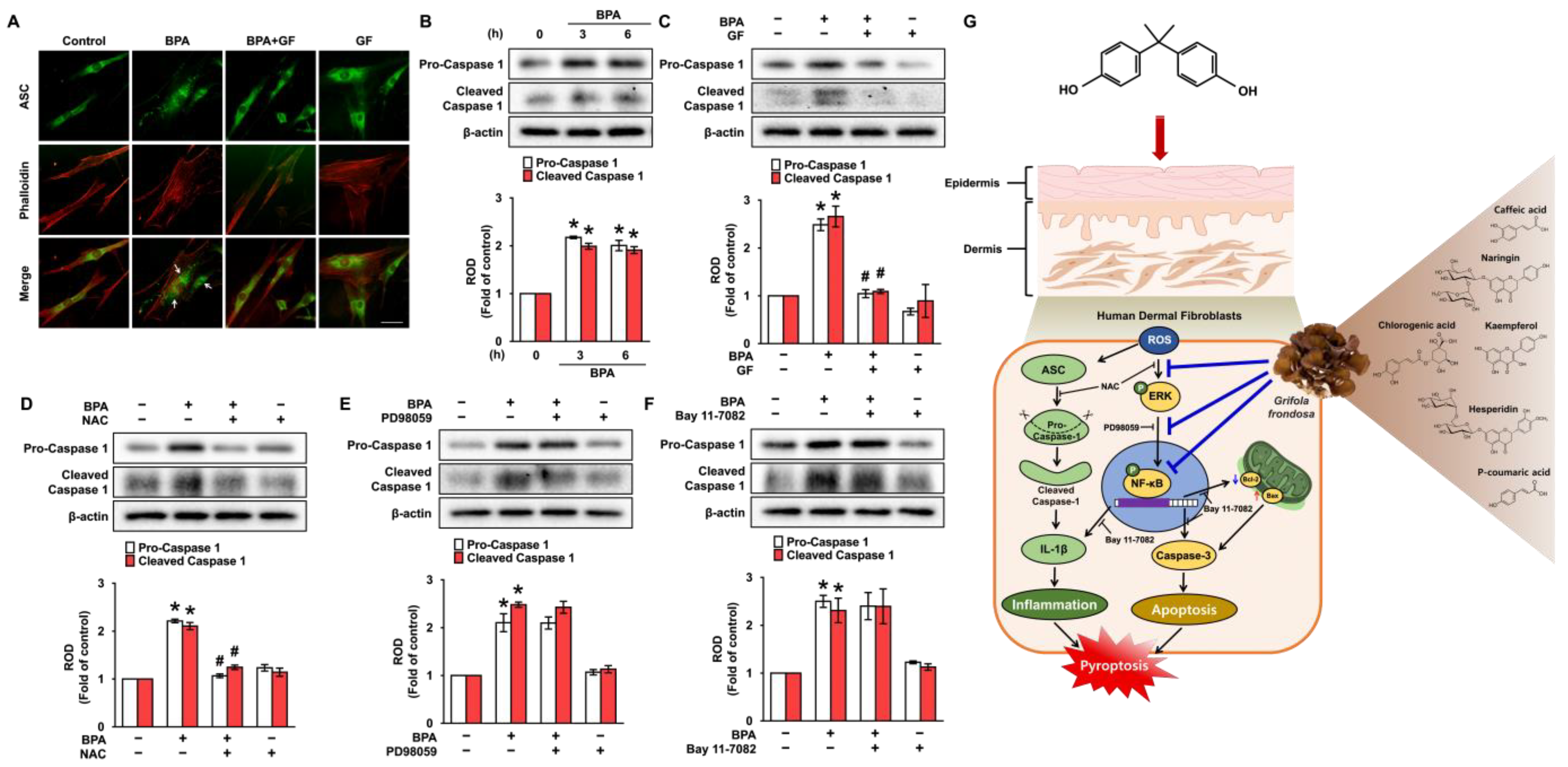 Nutrients 14 03812 g007