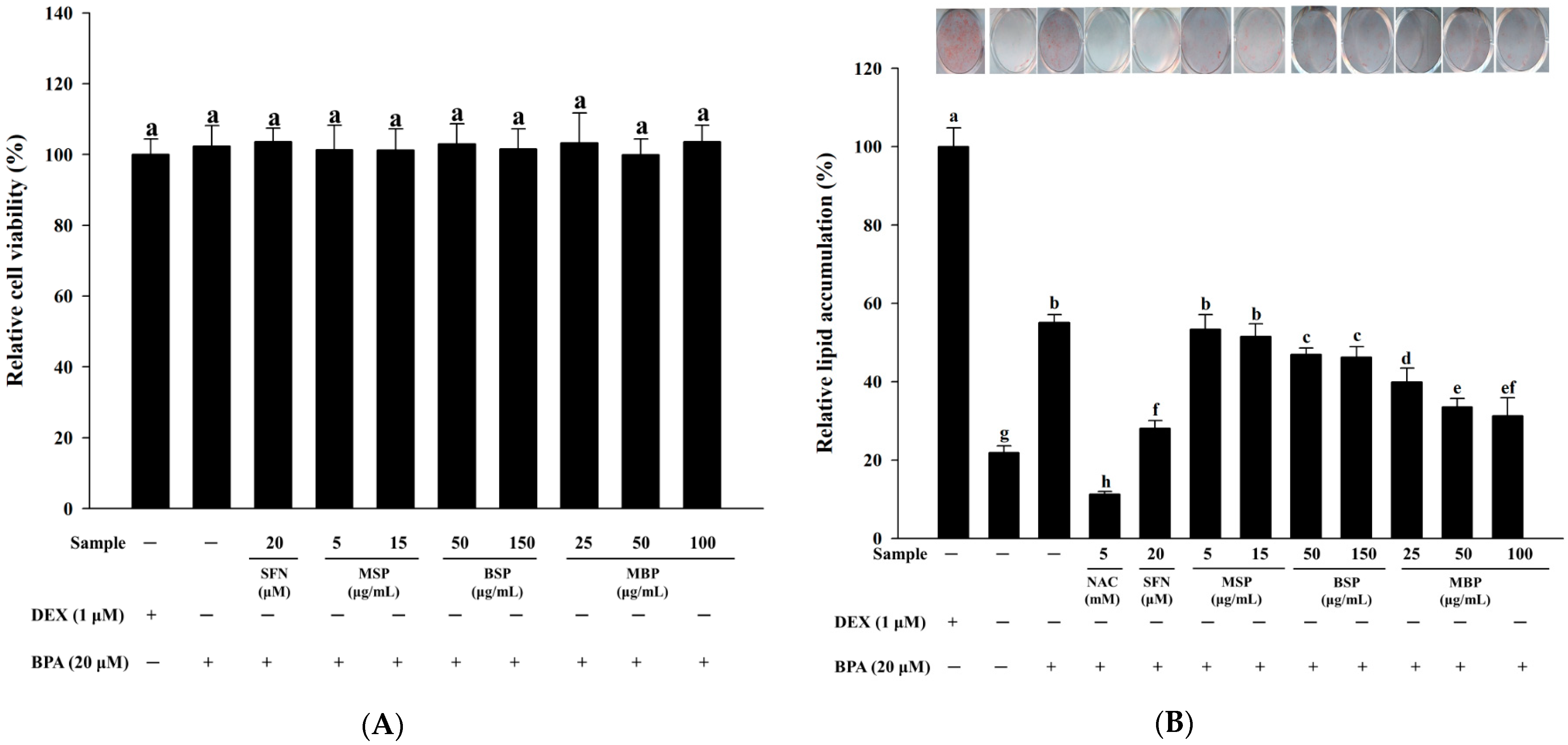 Nutrients 14 03814 g001