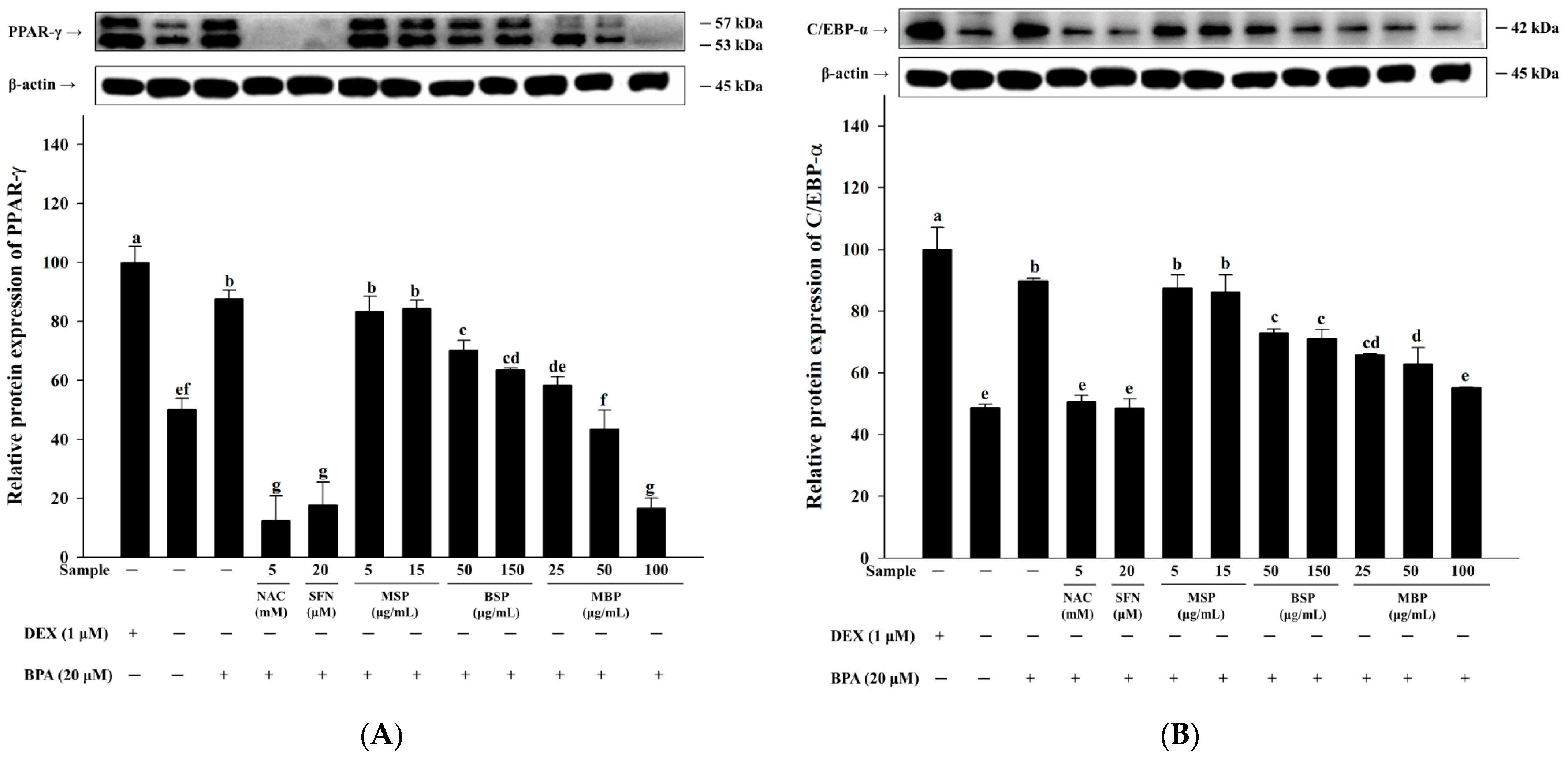Nutrients 14 03814 g002a