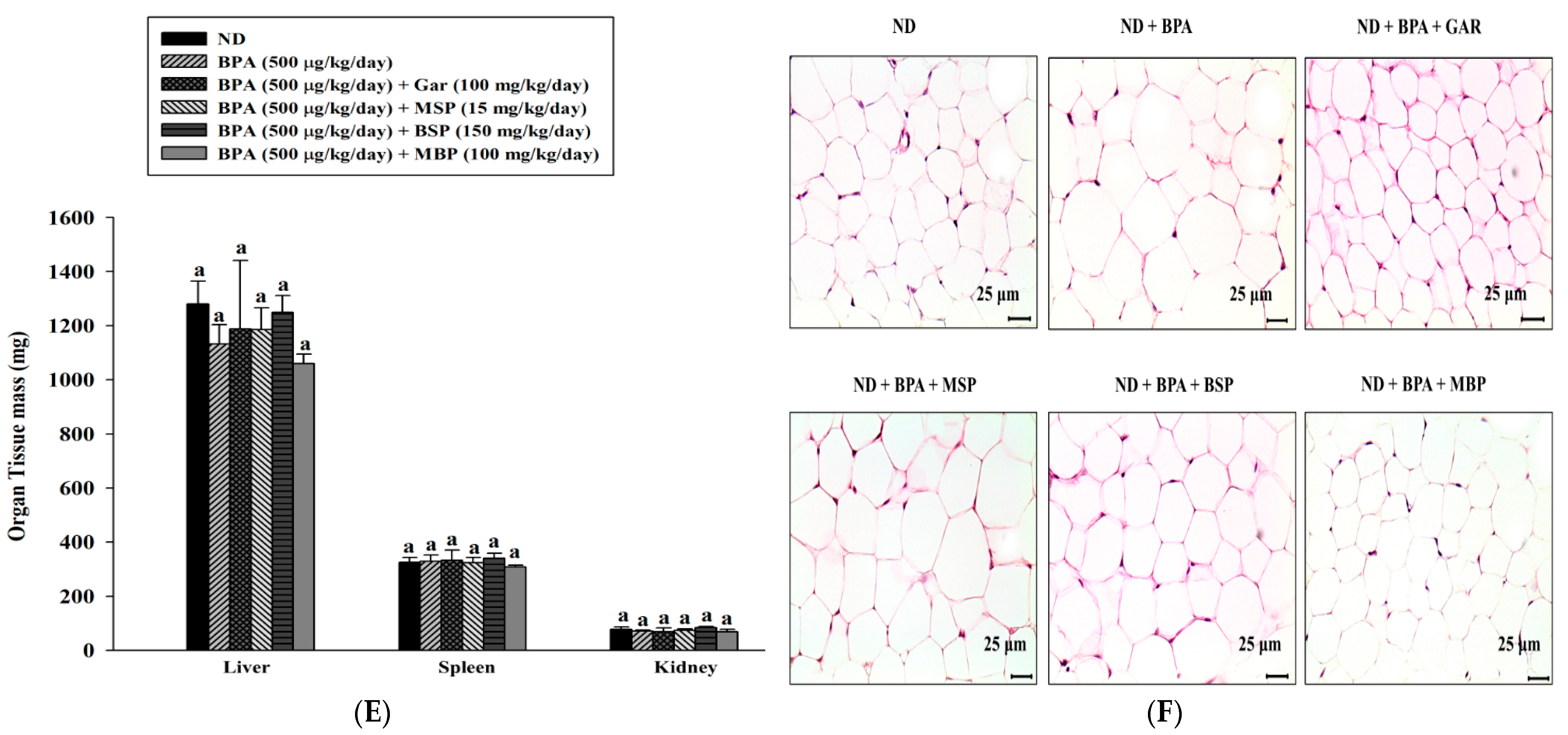 Nutrients 14 03814 g004b