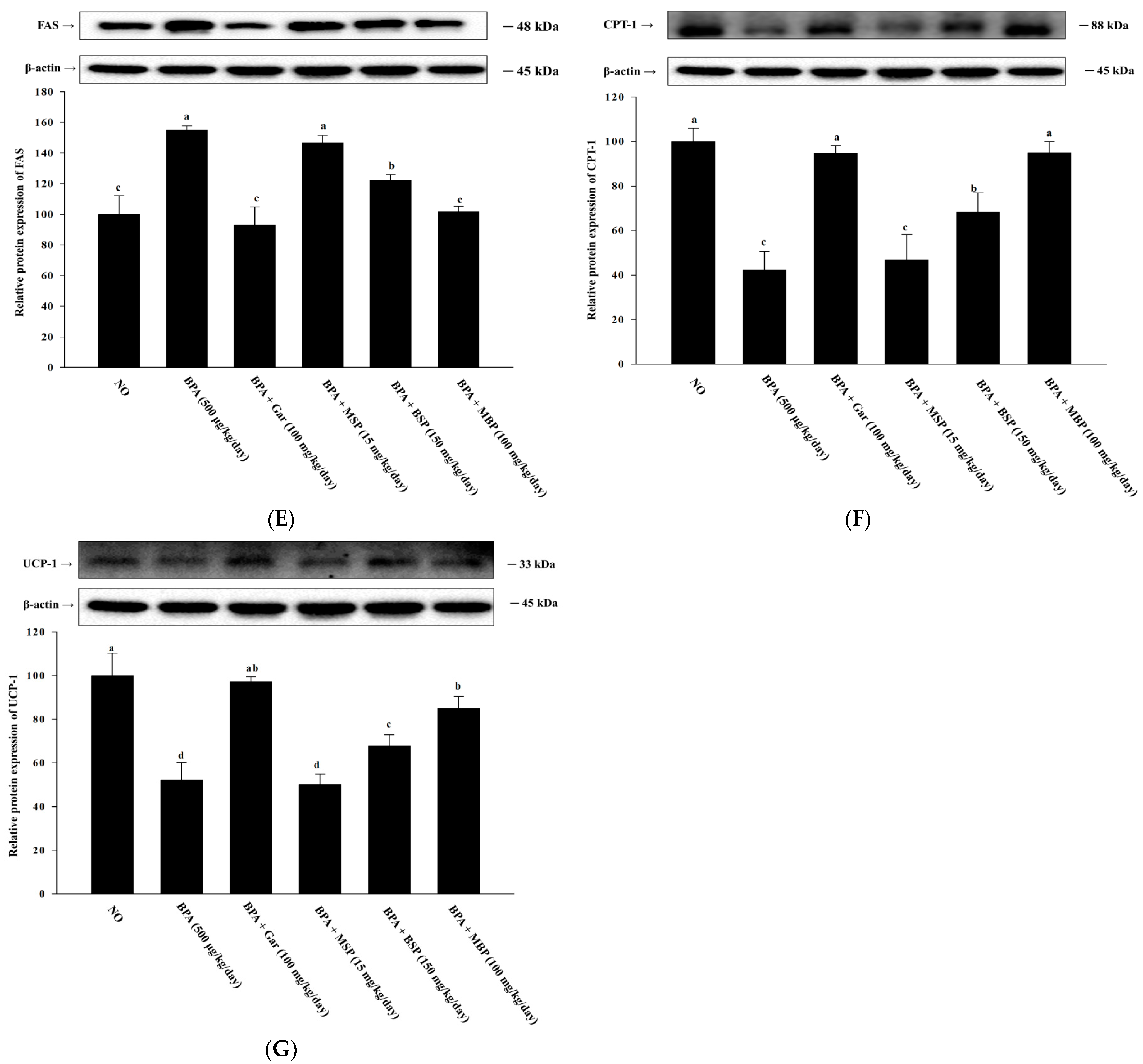 Nutrients 14 03814 g005b
