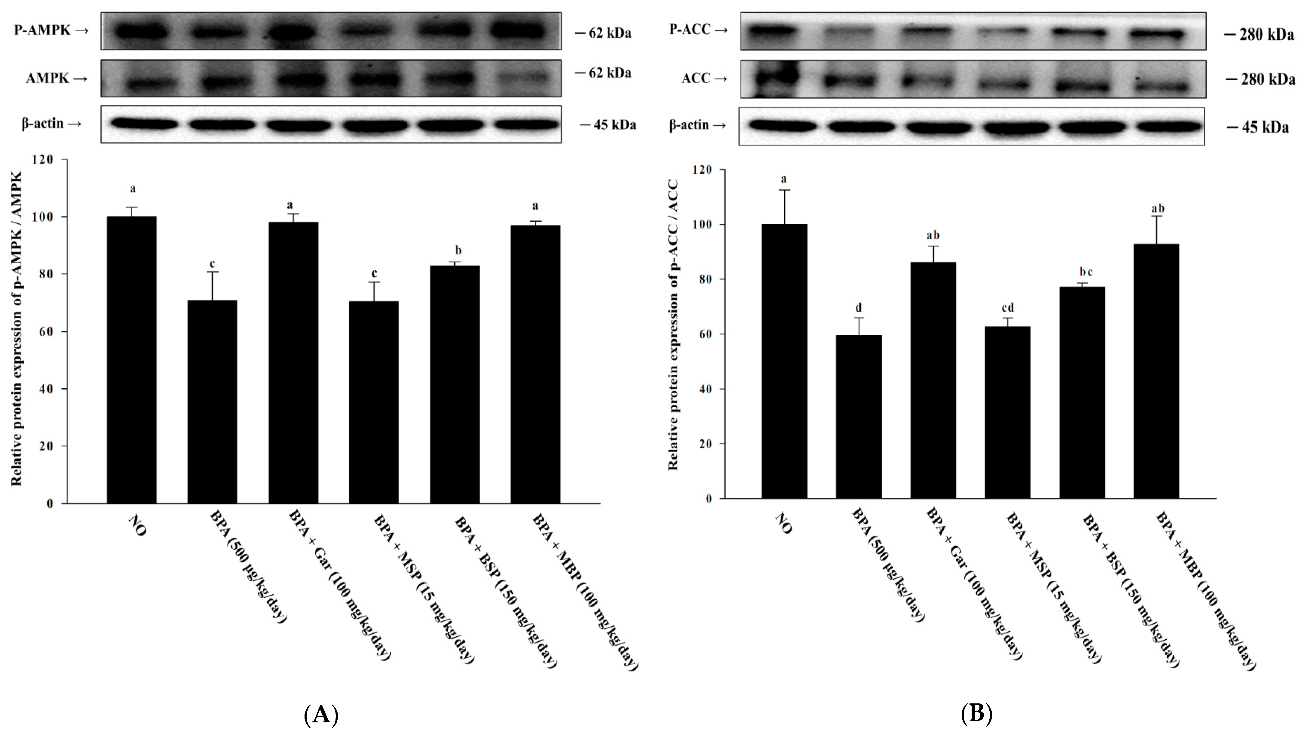 Nutrients 14 03814 g006