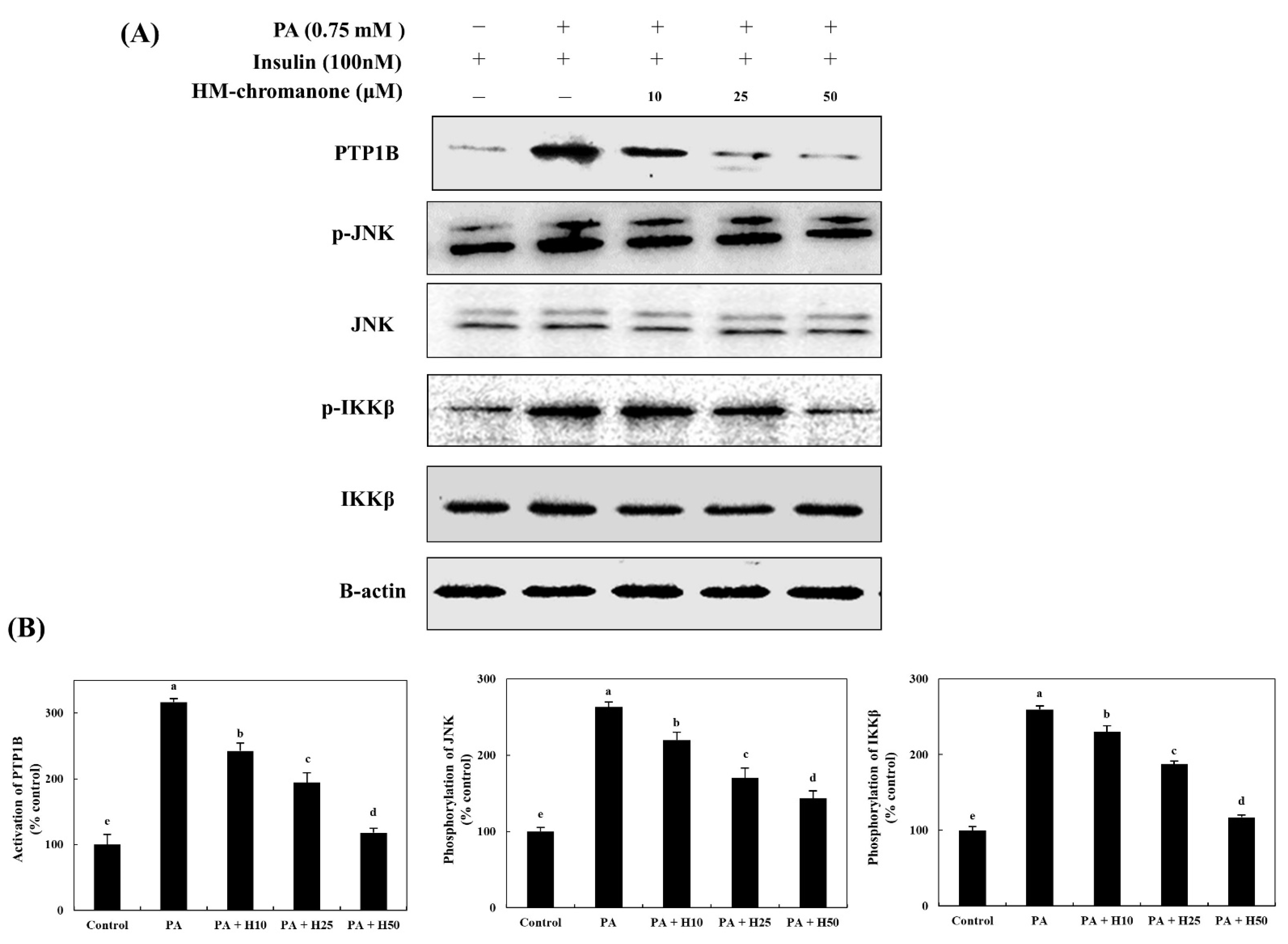 Nutrients 14 03815 g002 Nutrients 14 03815 g002