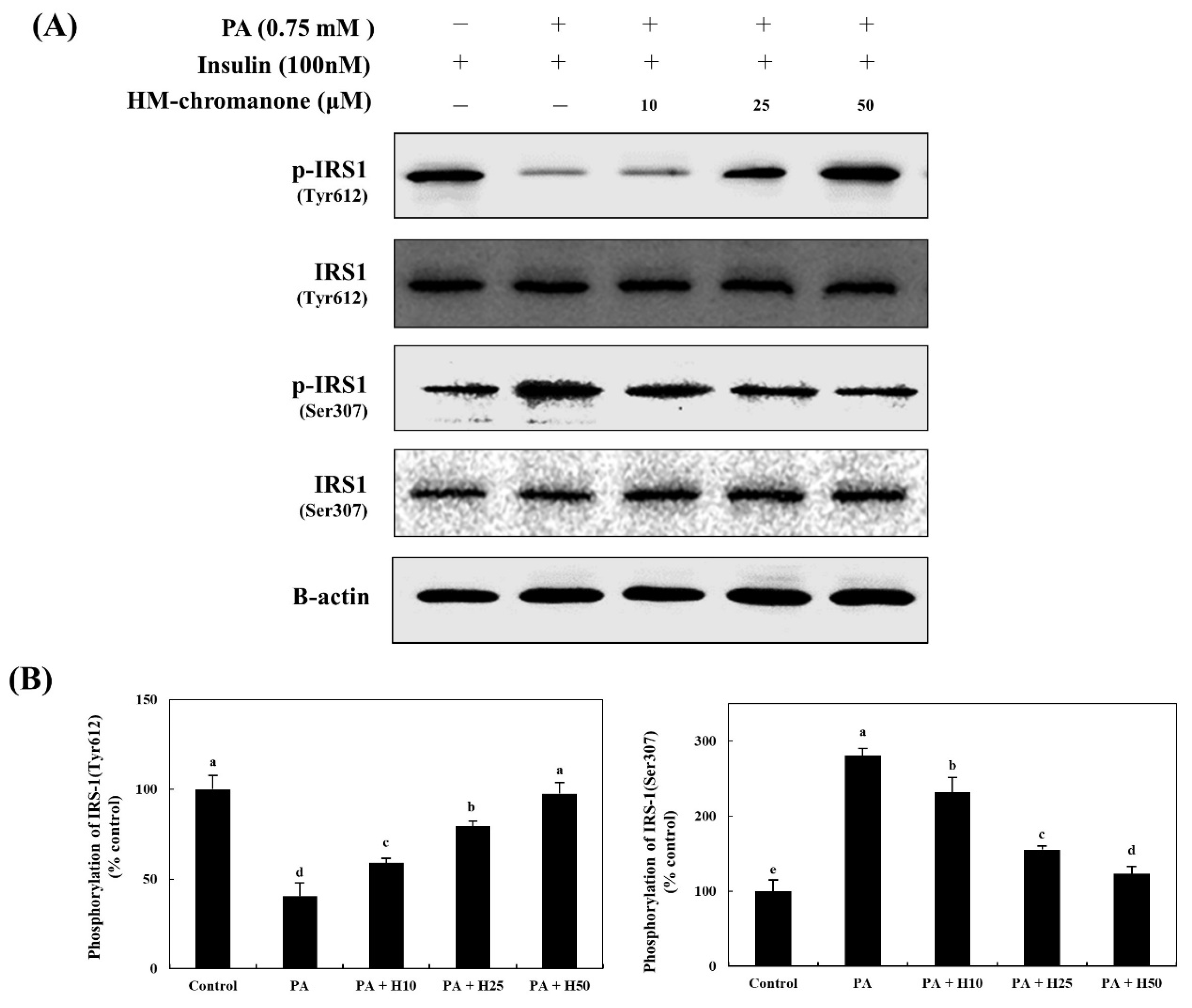 Nutrients 14 03815 g003 Nutrients 14 03815 g003