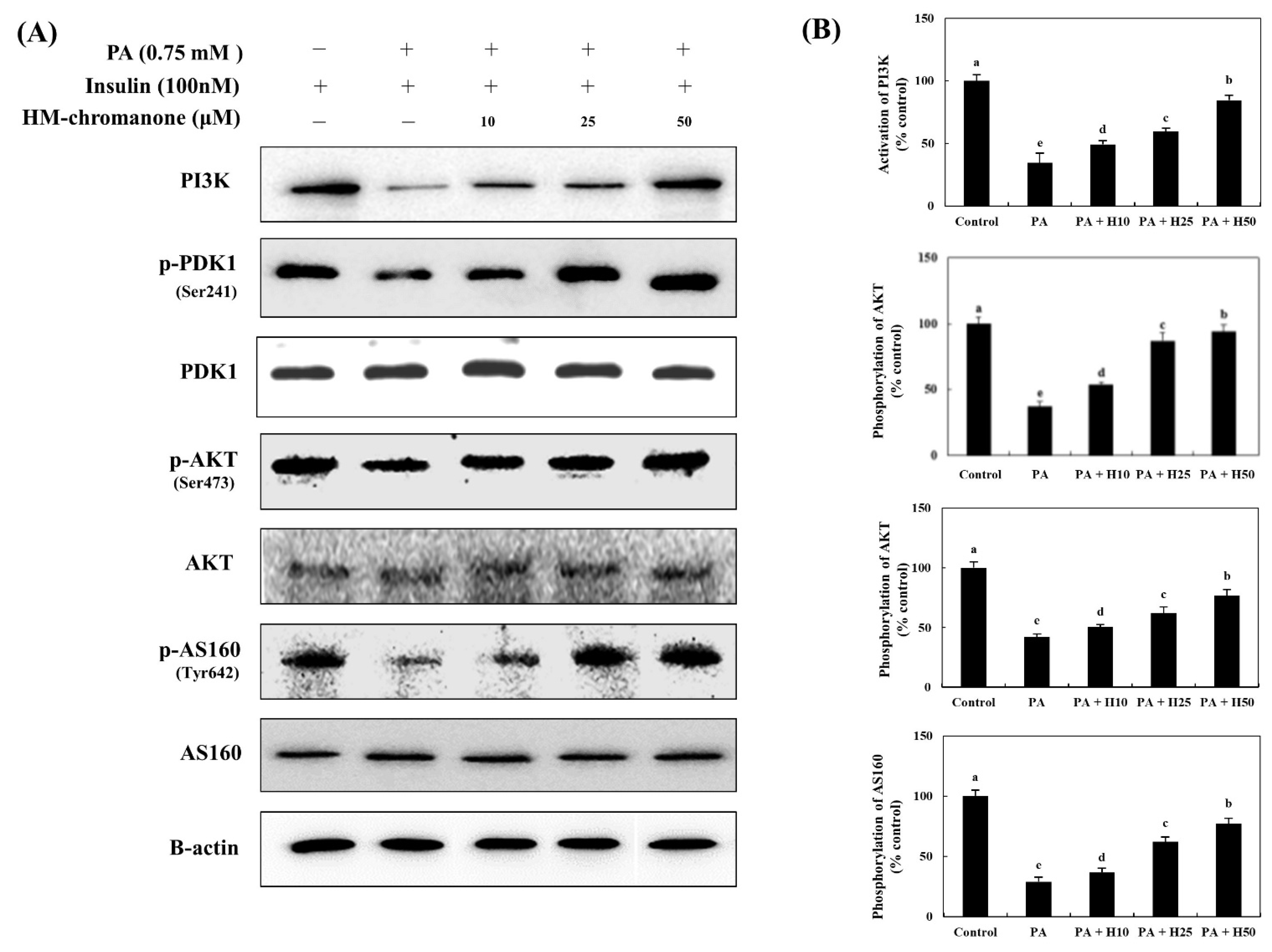 Nutrients 14 03815 g004 Nutrients 14 03815 g004