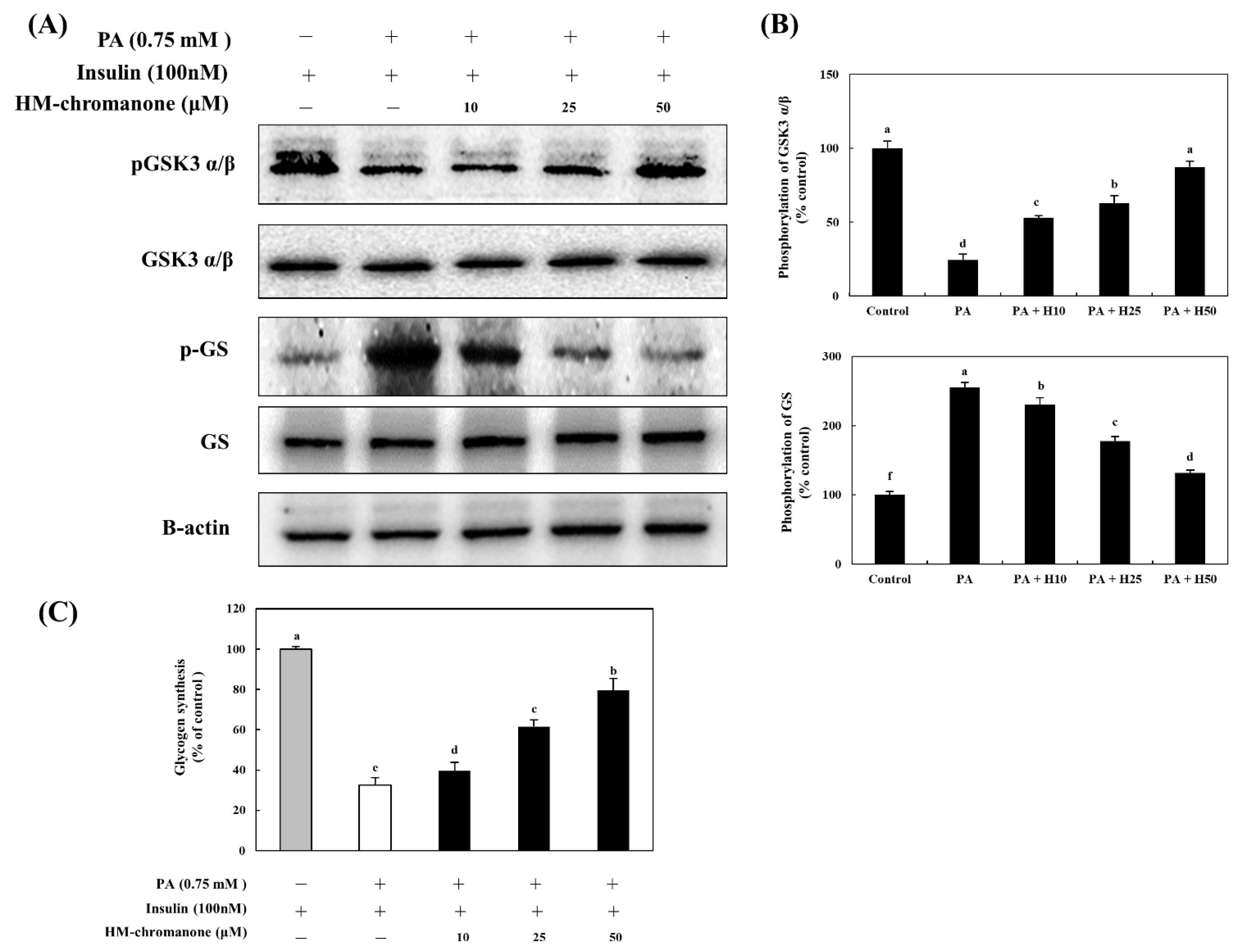 Nutrients 14 03815 g006 Nutrients 14 03815 g006