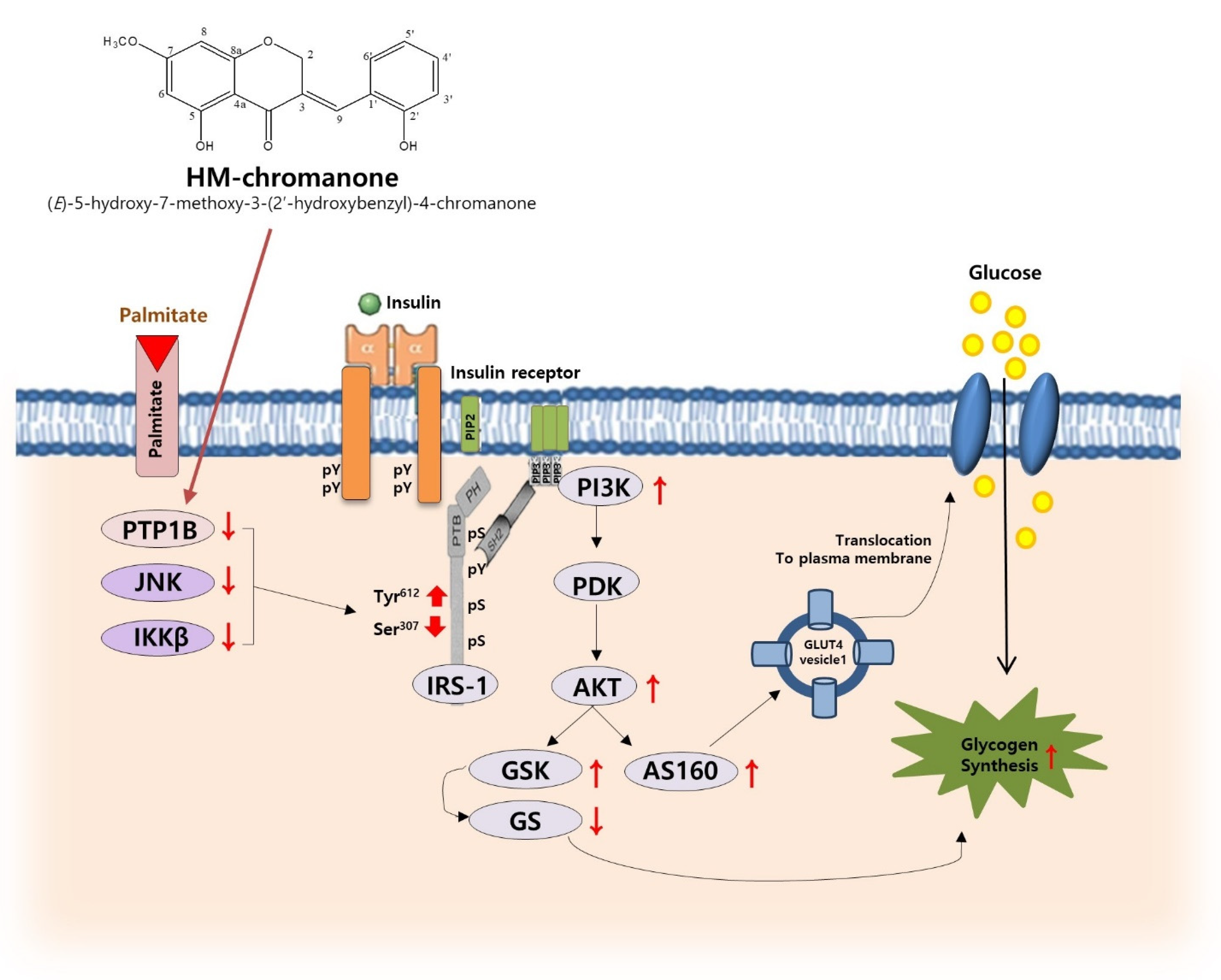Nutrients 14 03815 g007 Nutrients 14 03815 g007