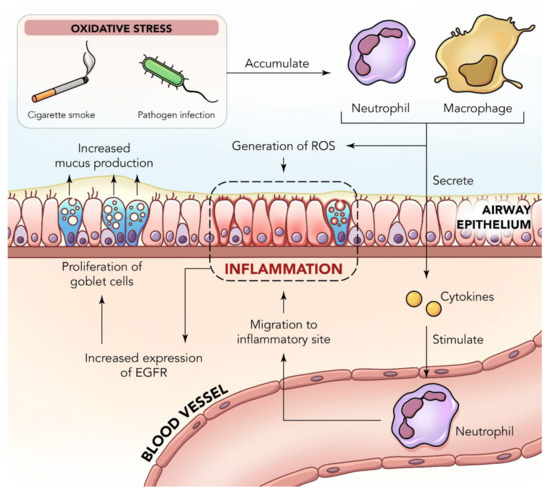 Unravelling the Therapeutic Potential of Nano-Delivered