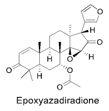 Nutrients 14 03828 i014 Nutrients 14 03828 i014