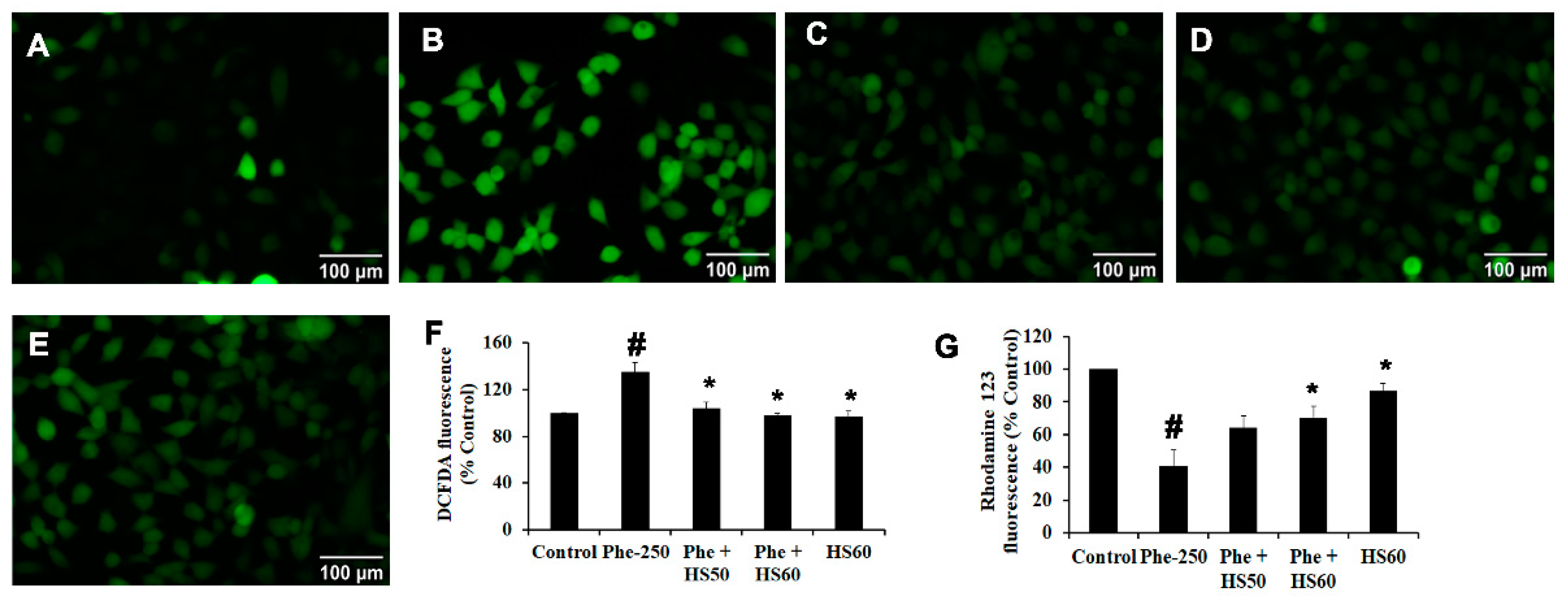 Nutrients 14 03829 g010 Nutrients 14 03829 g010