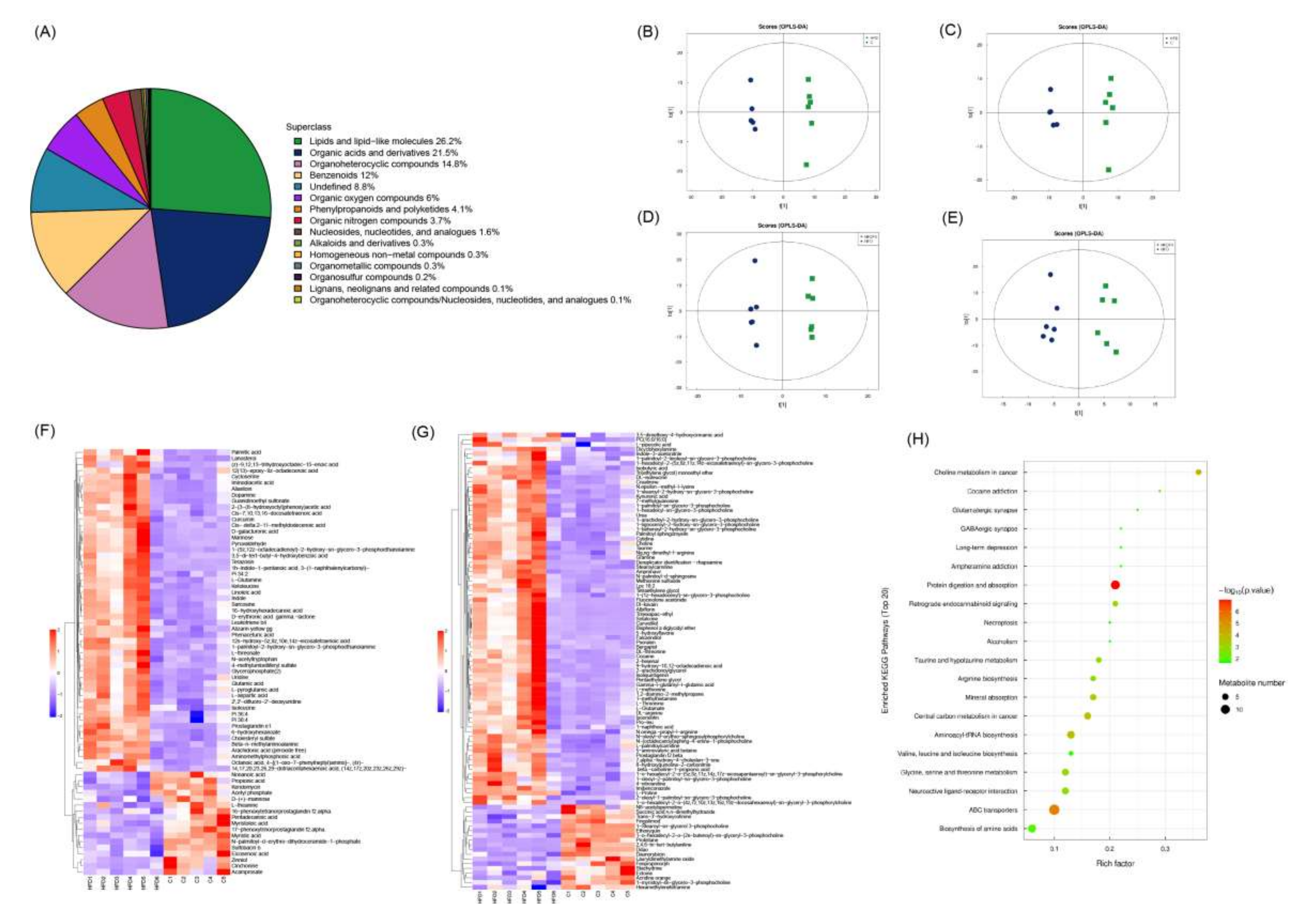 Nutrients 14 03830 g006 Nutrients 14 03830 g006