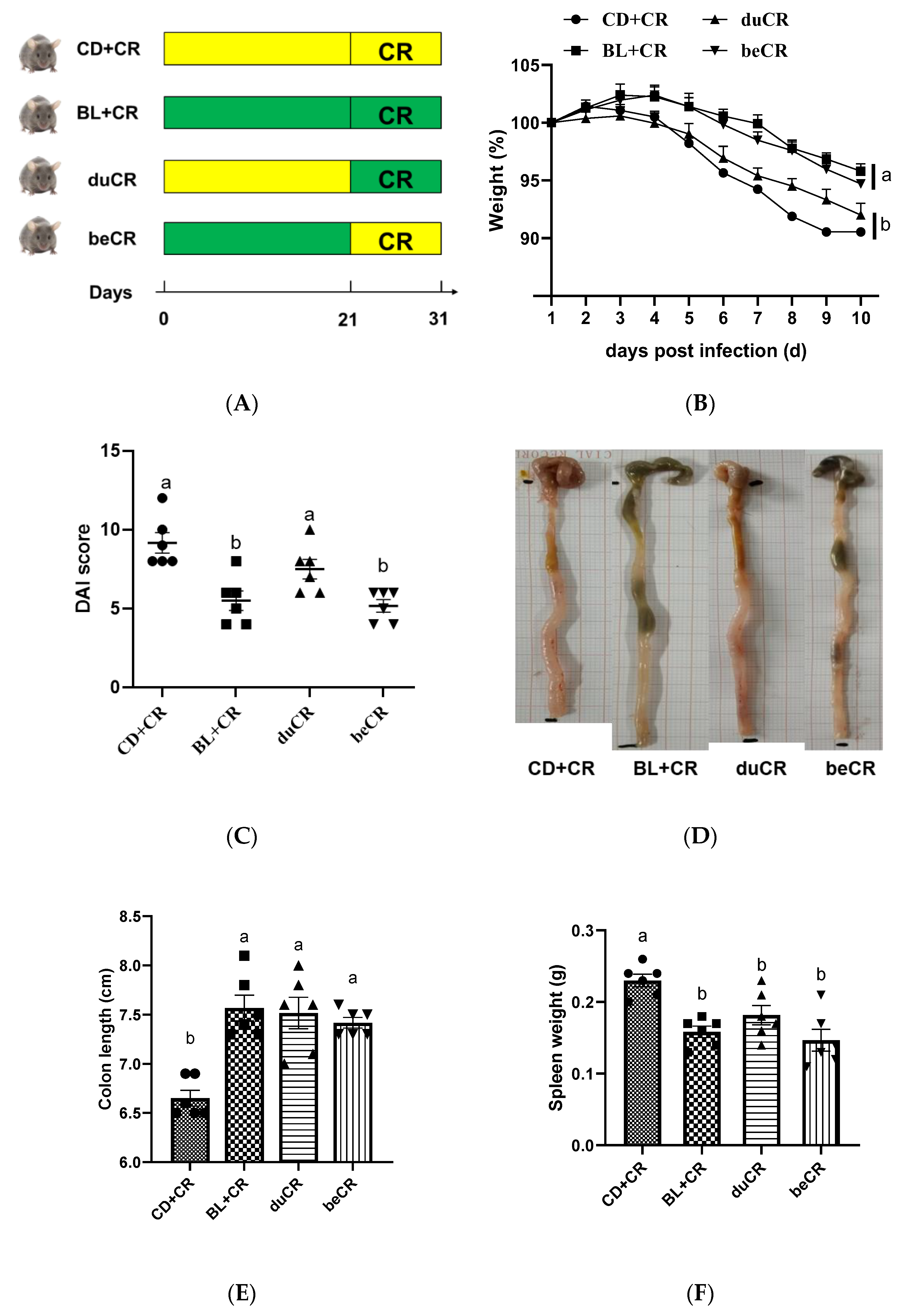 Nutrients 14 03833 g001