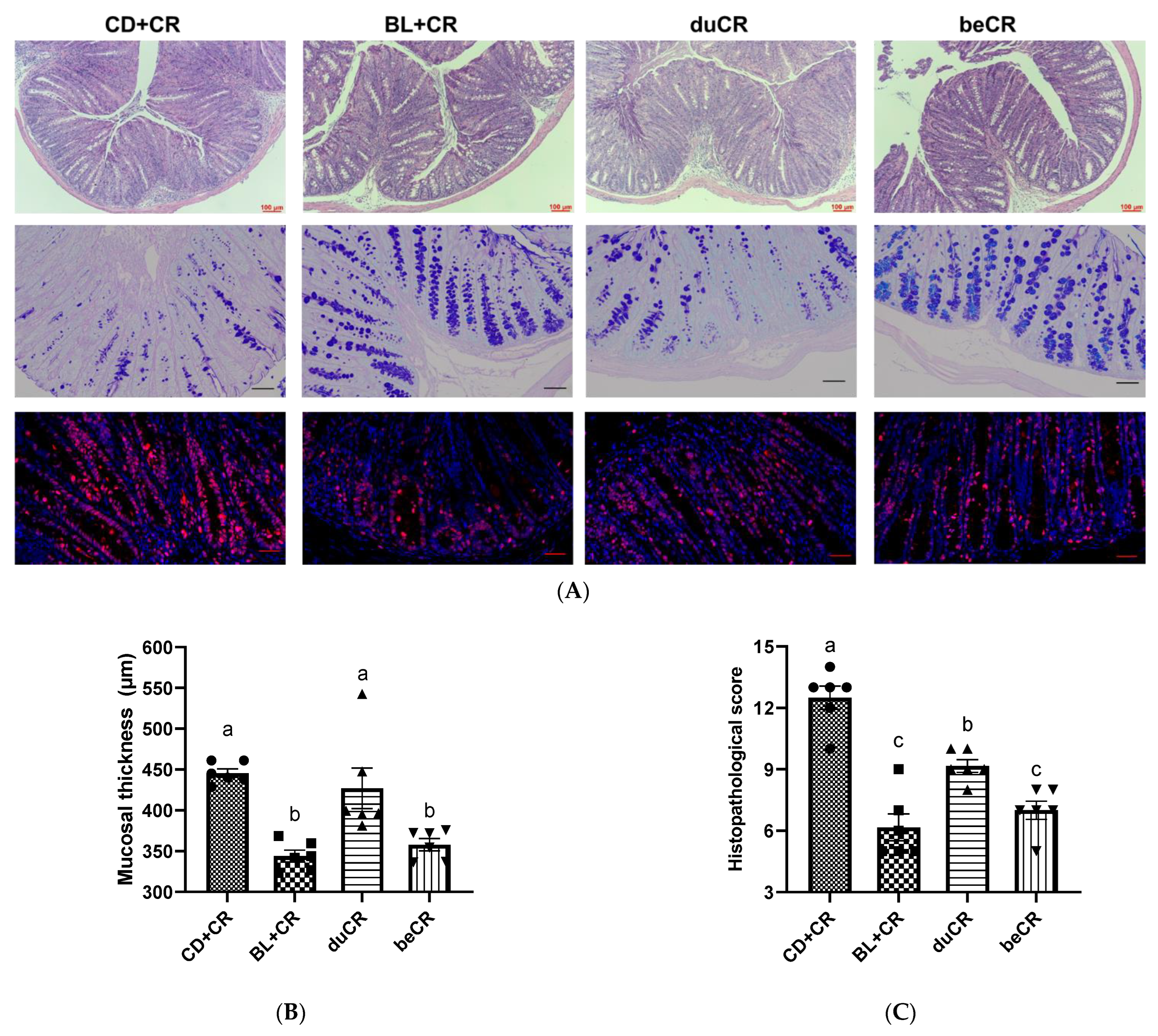 Nutrients 14 03833 g002a