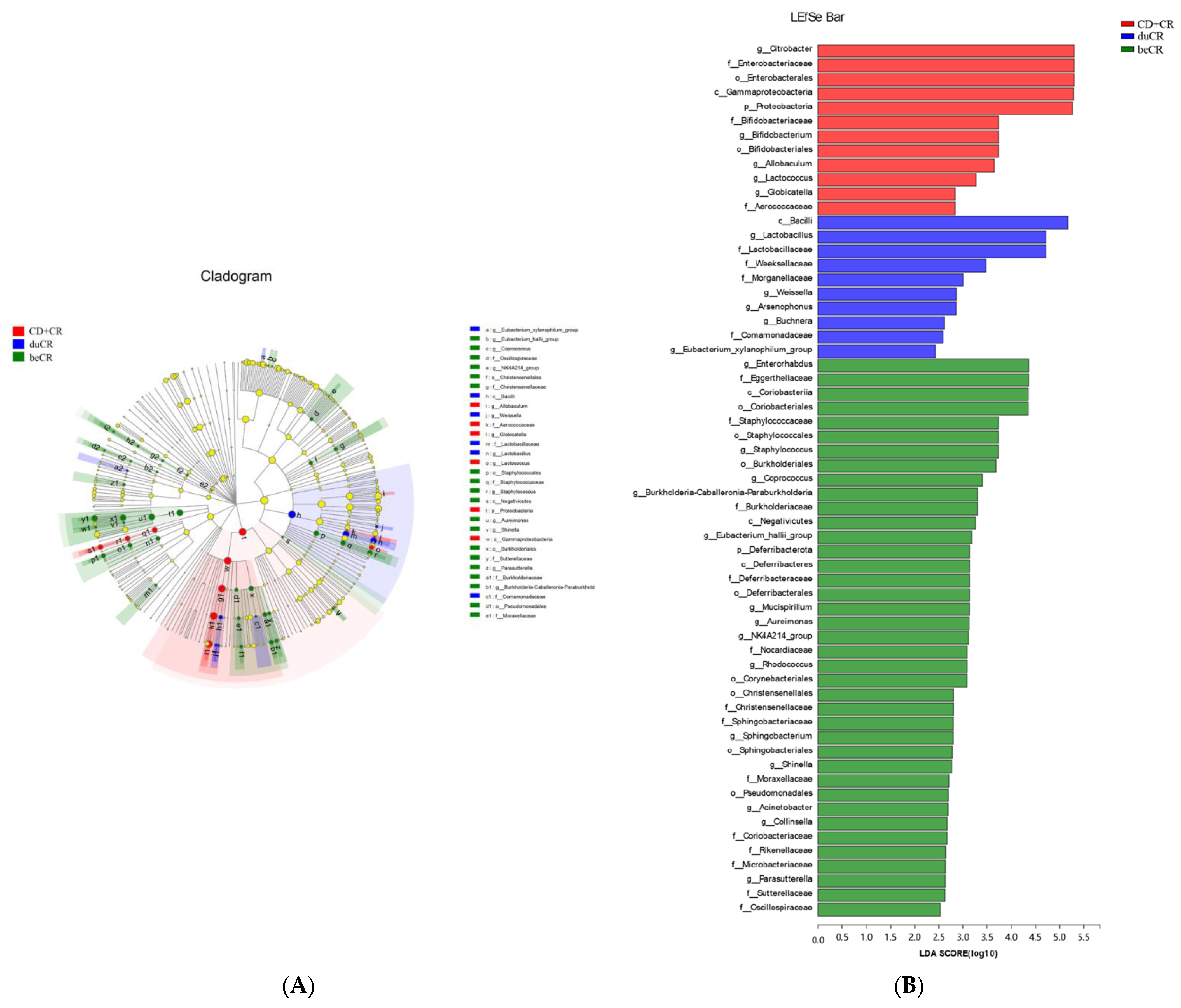 Nutrients 14 03833 g007
